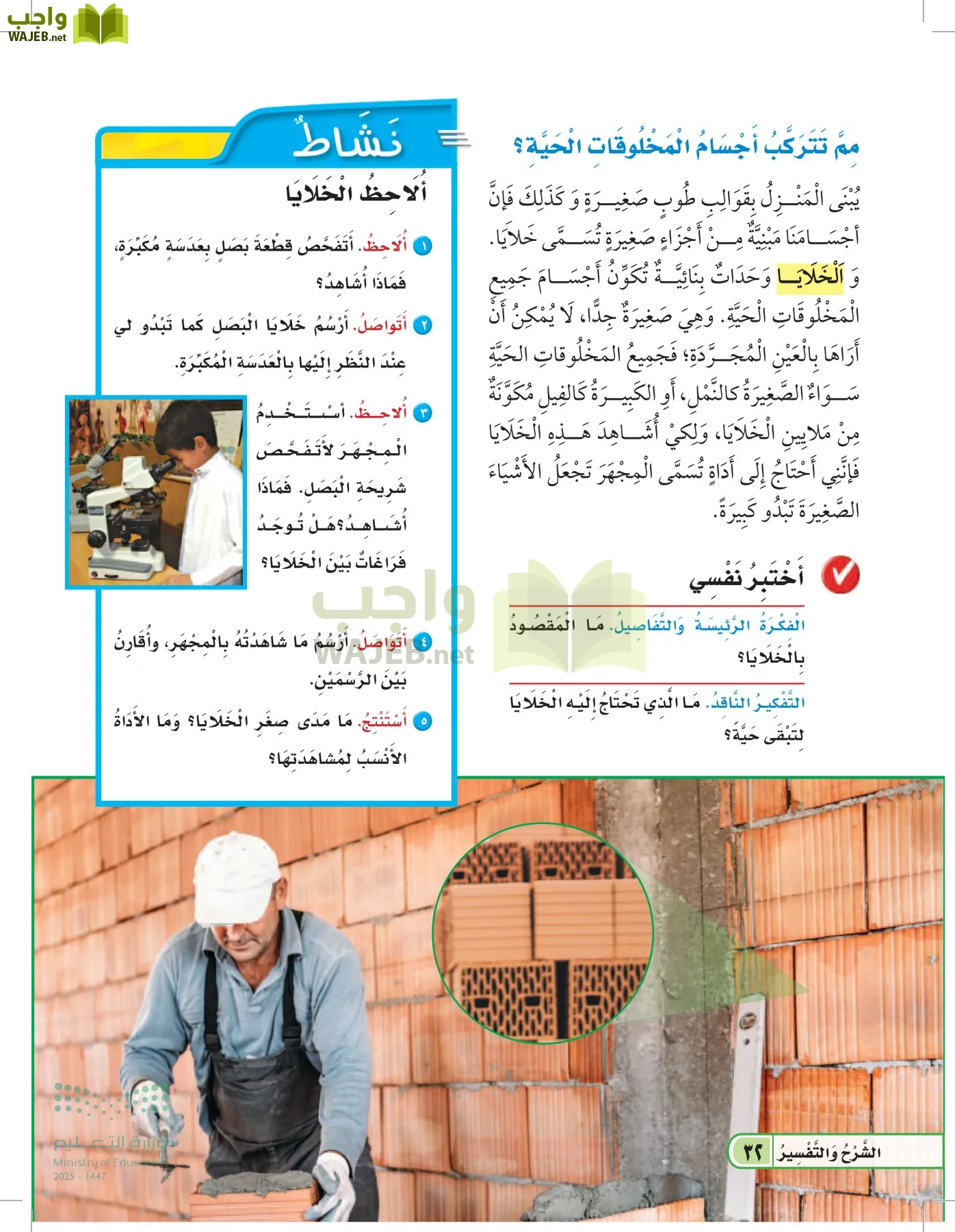 العلوم page-31