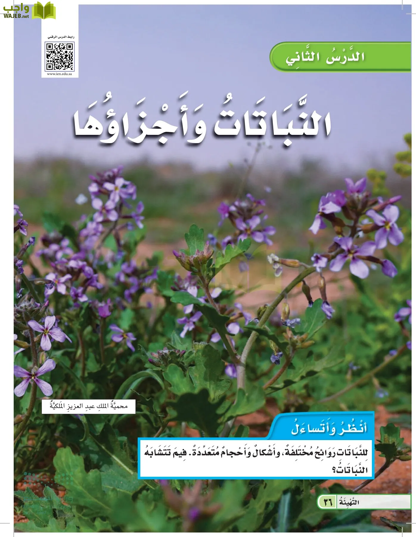 العلوم page-35