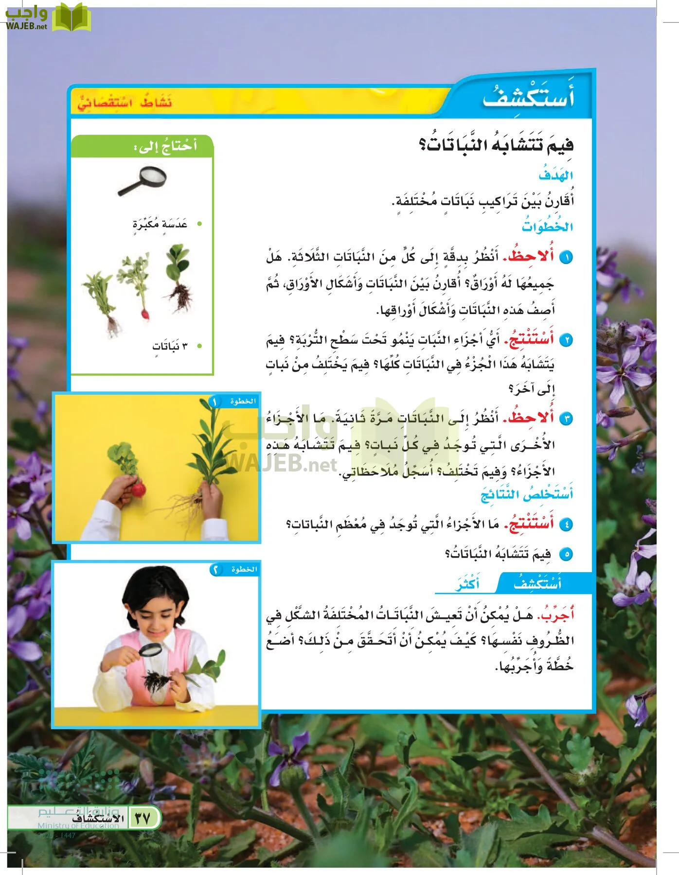 العلوم page-36