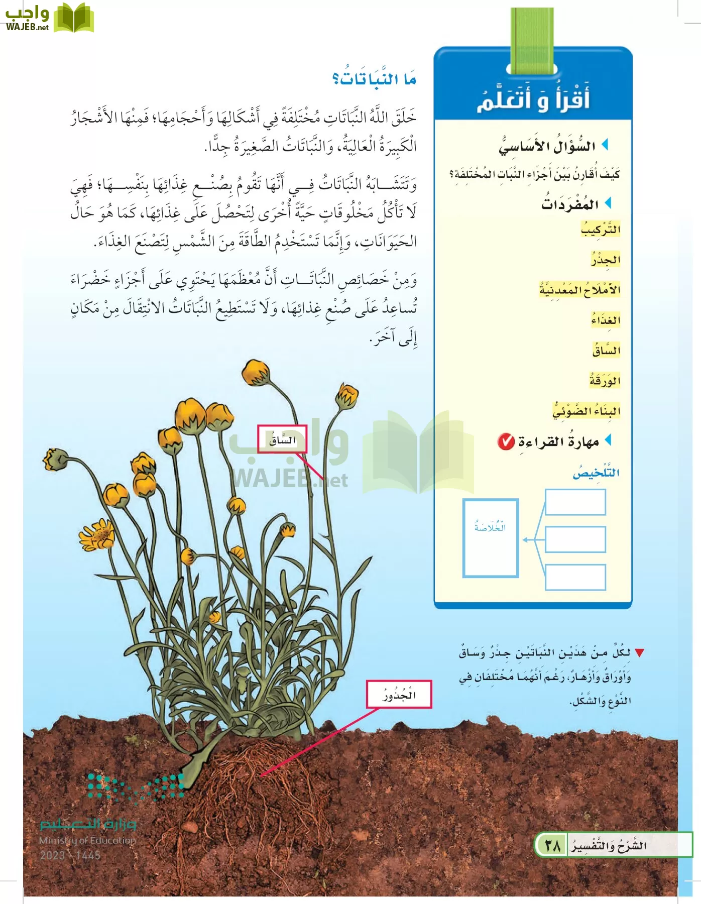 العلوم page-37