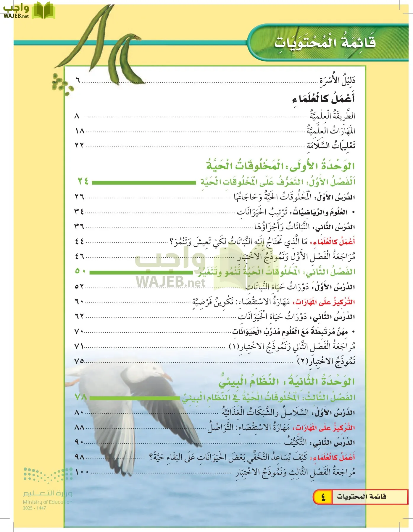 العلوم page-3