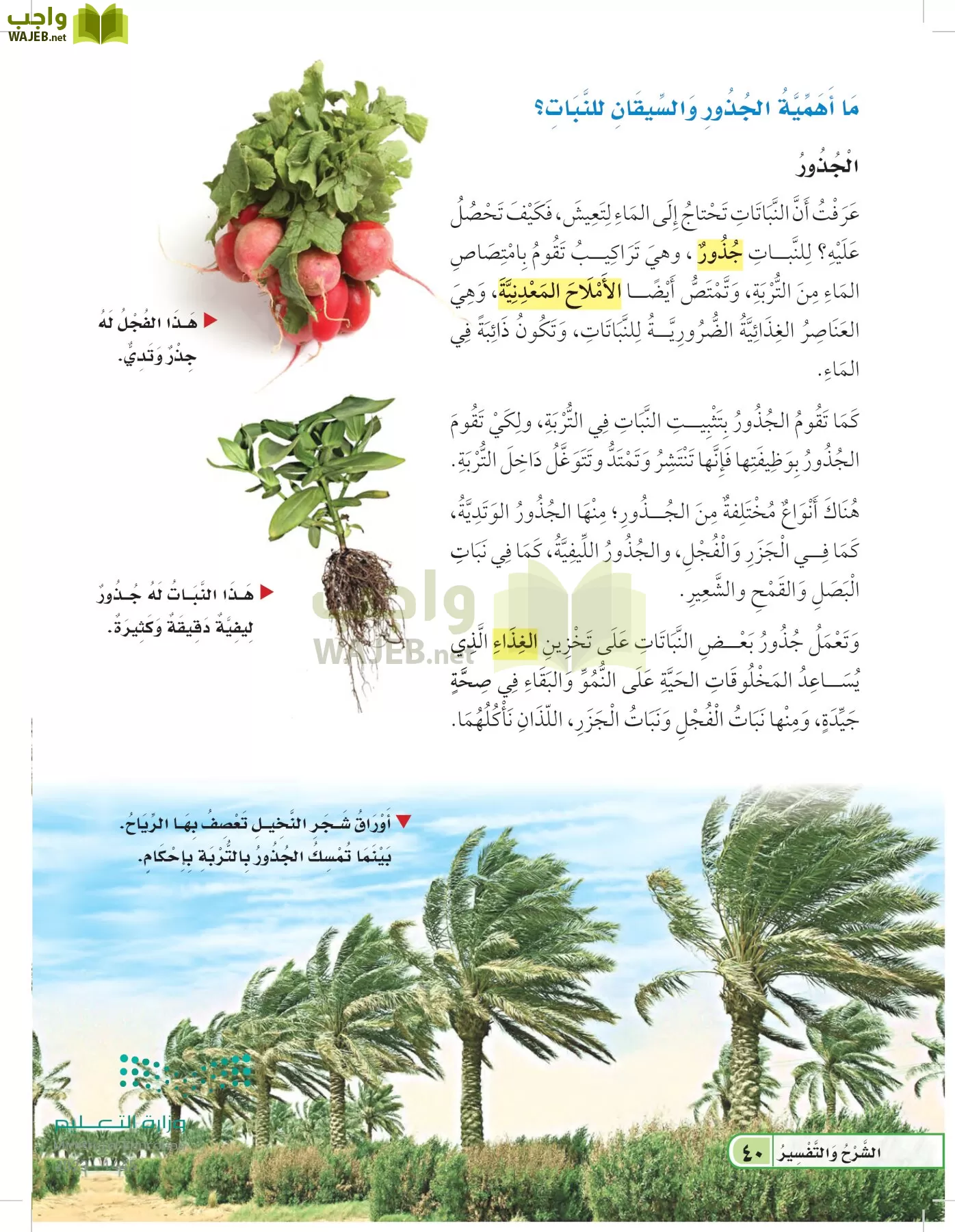 العلوم page-39