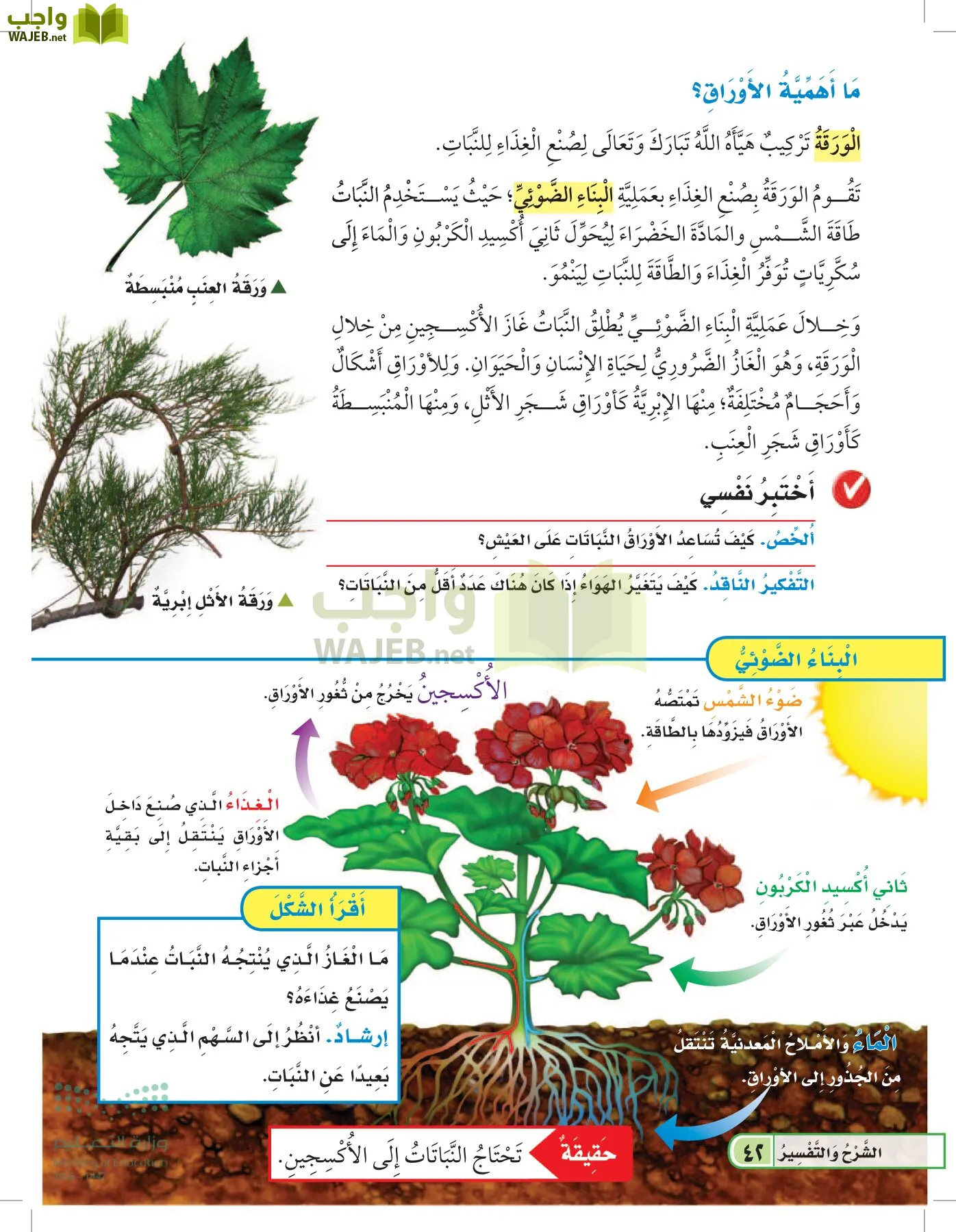 العلوم page-41