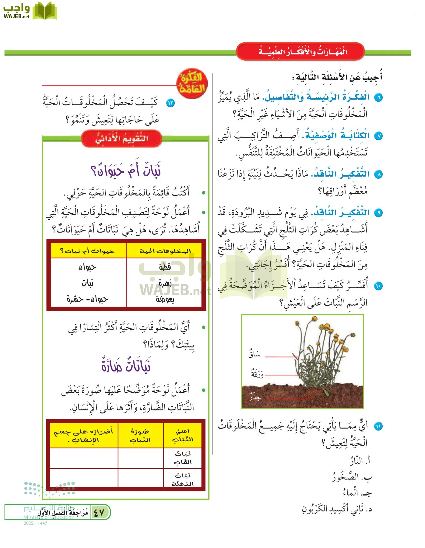 العلوم page-46