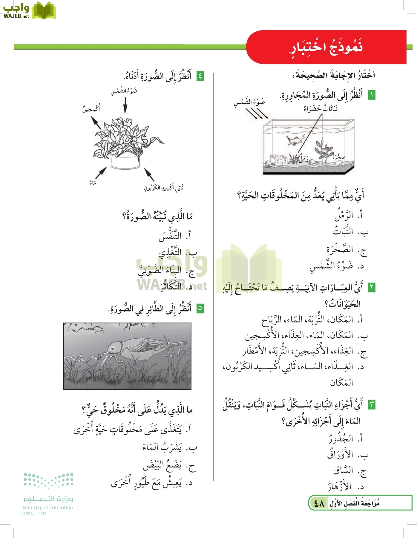 العلوم page-47