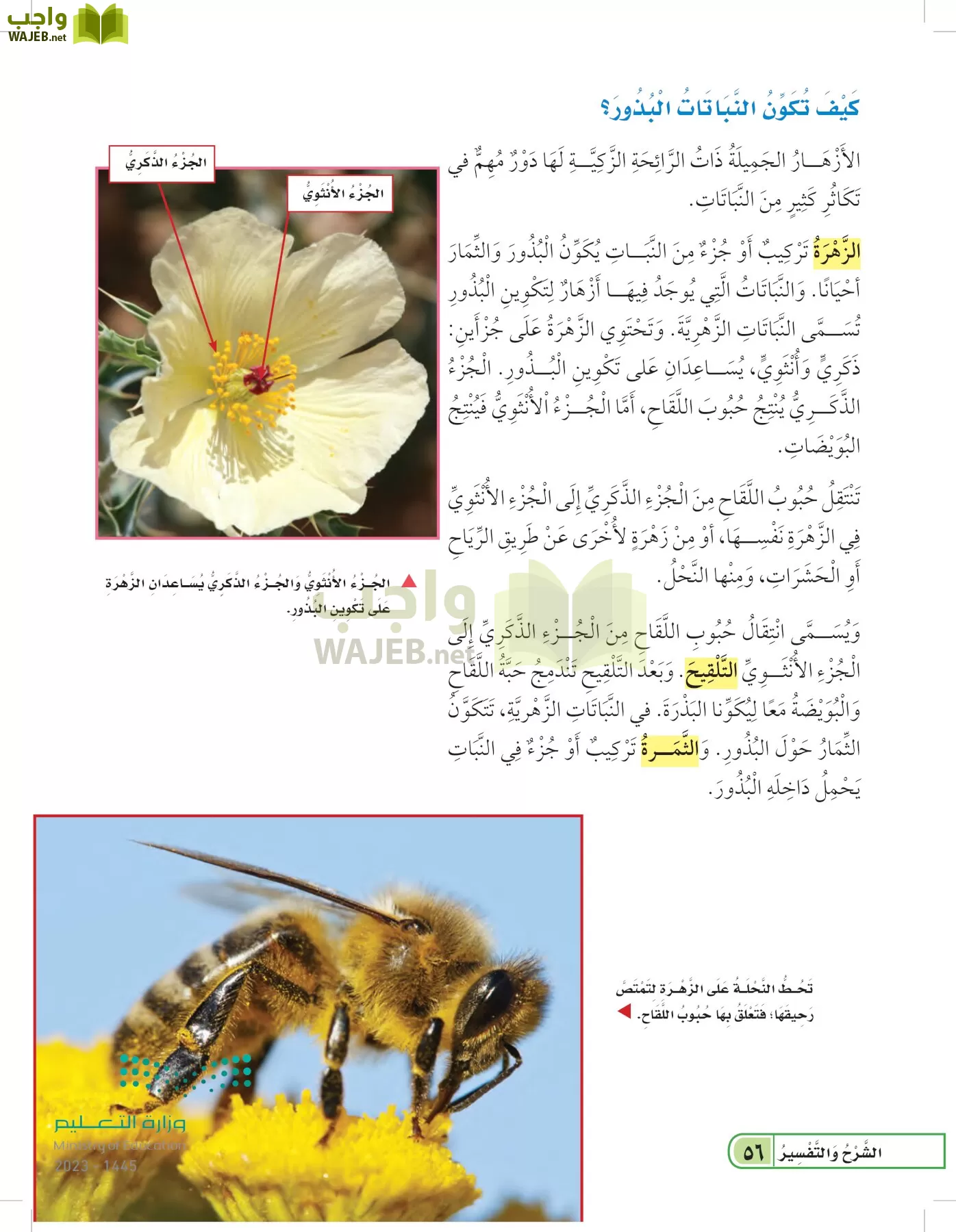 العلوم page-55