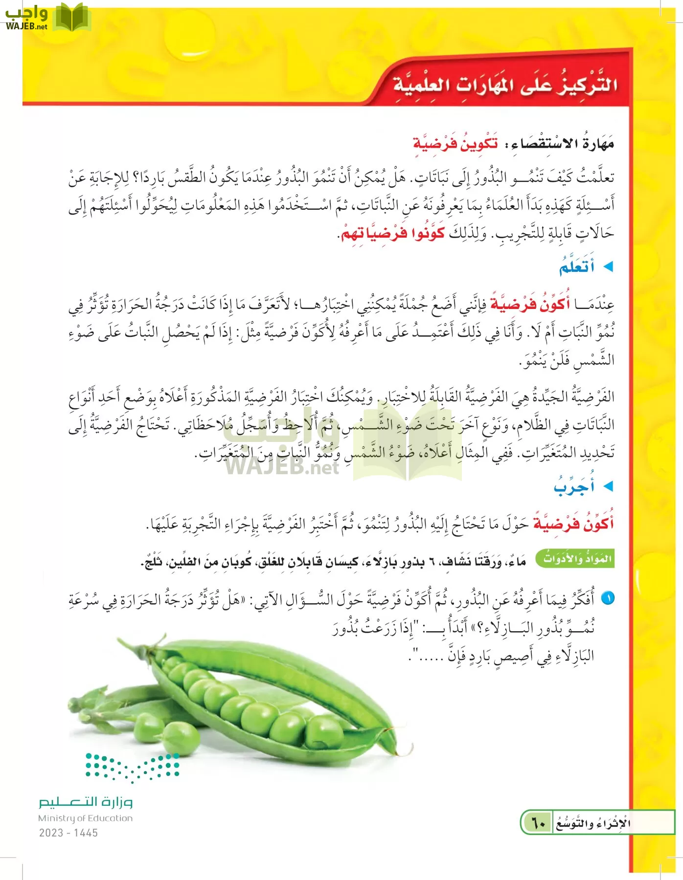العلوم page-59