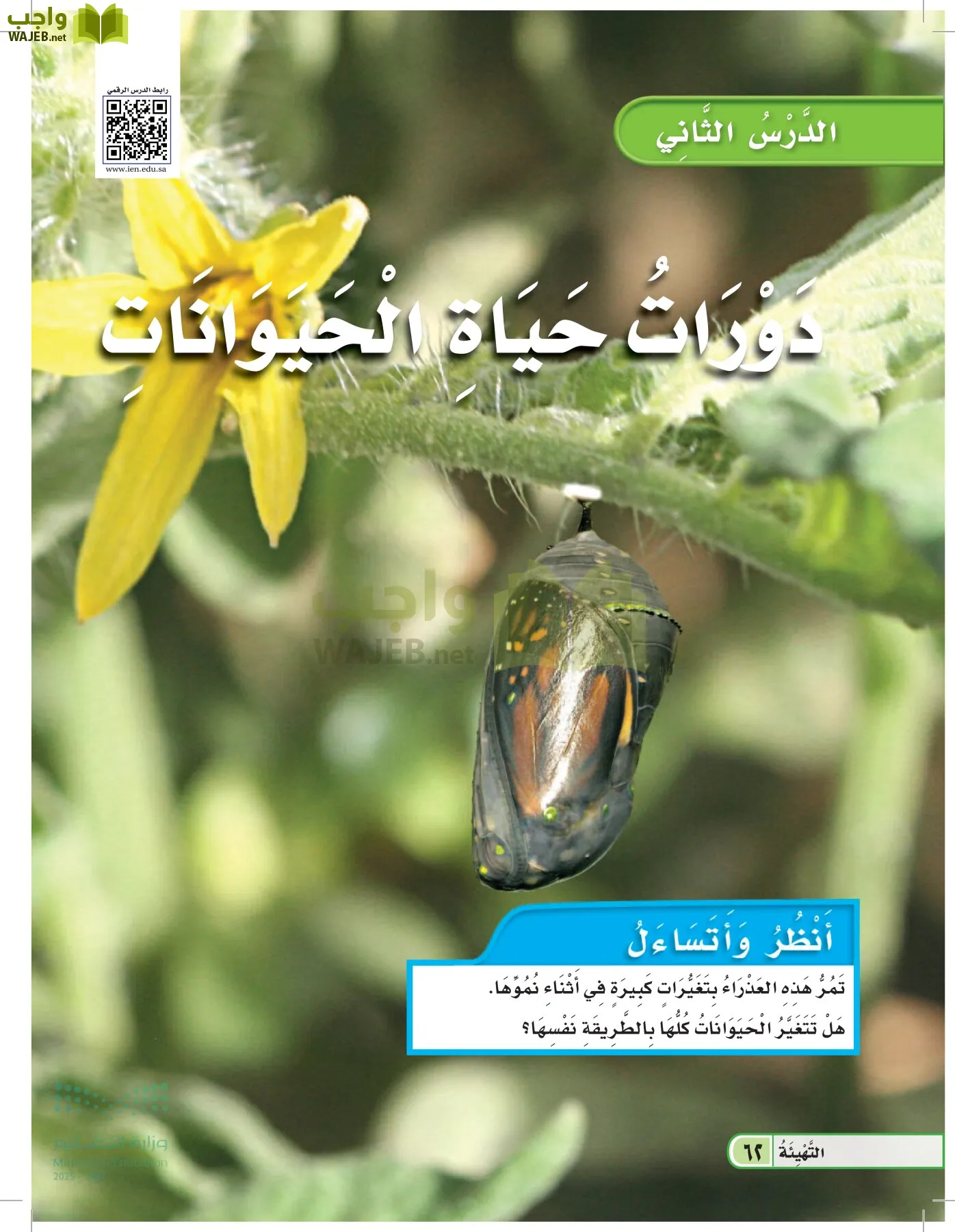 العلوم page-61