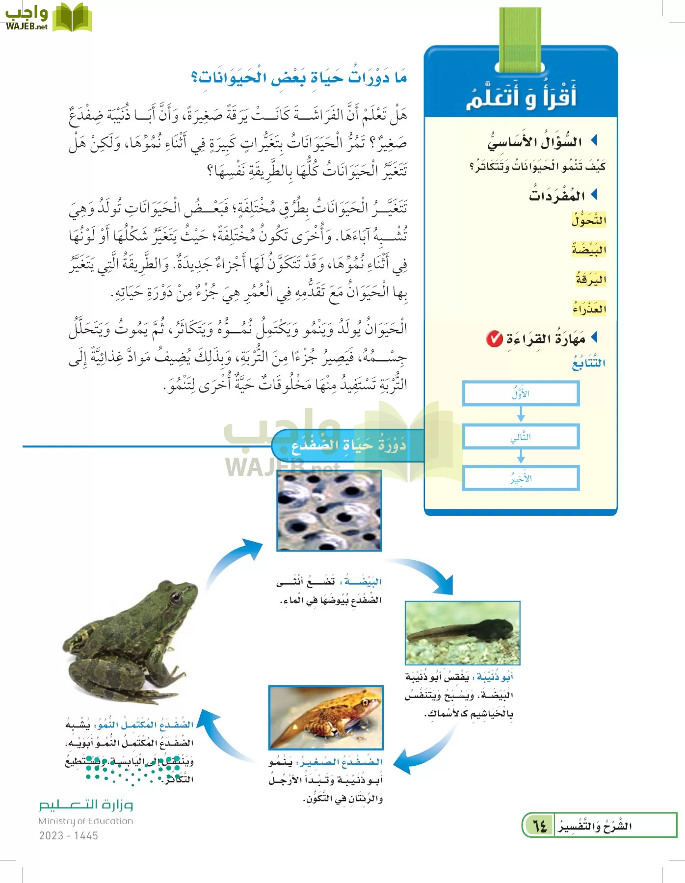العلوم page-63