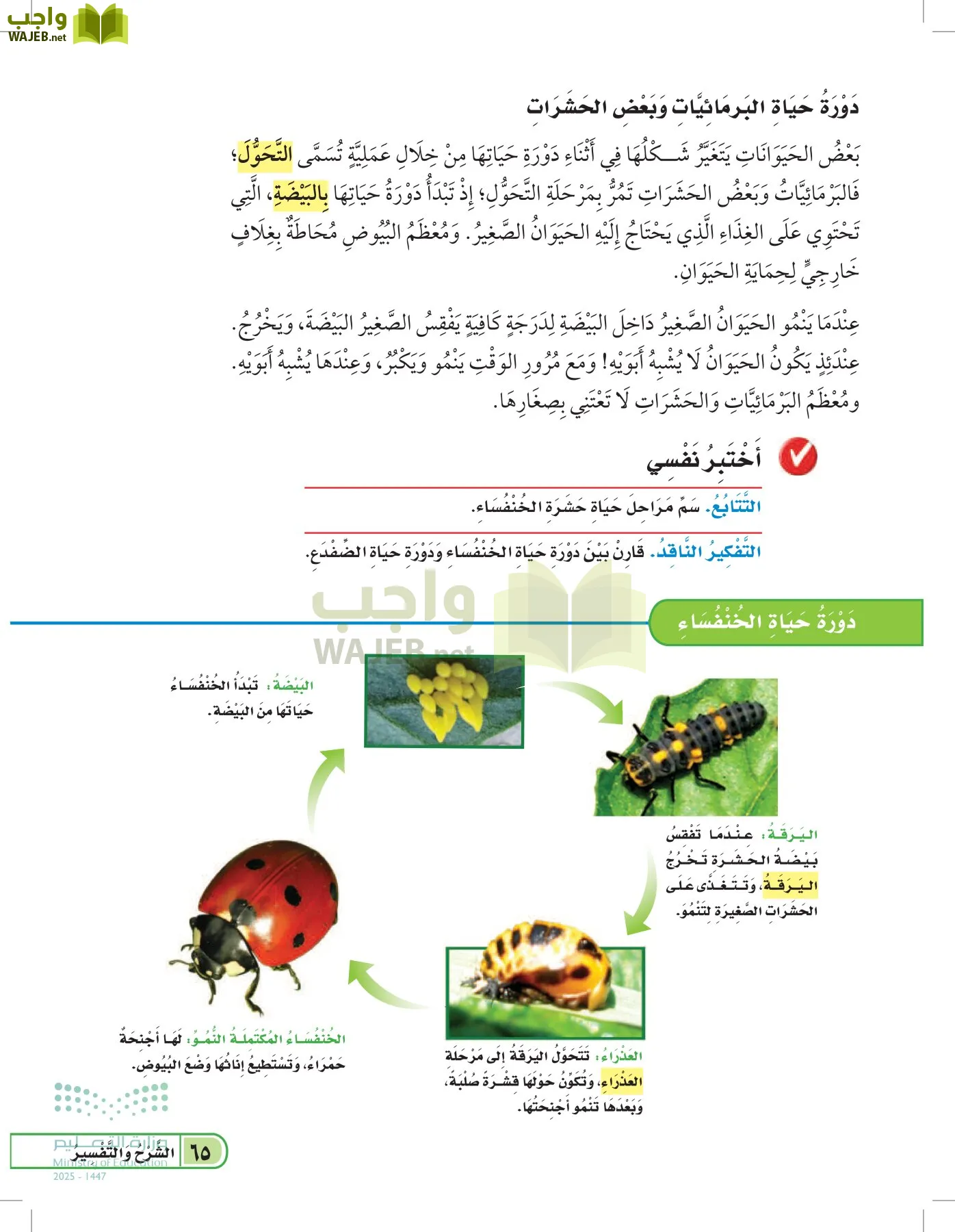 العلوم page-64