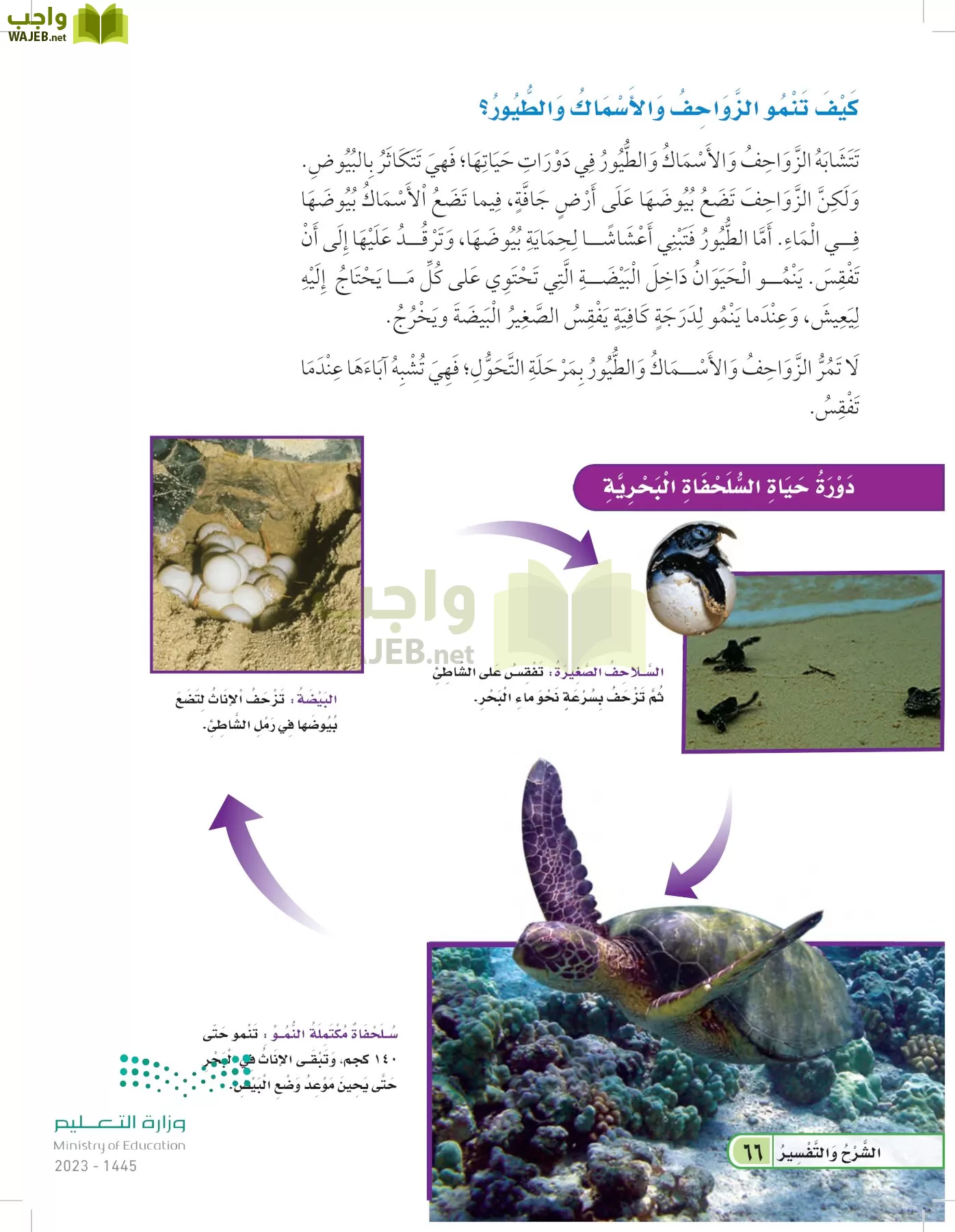 العلوم page-65