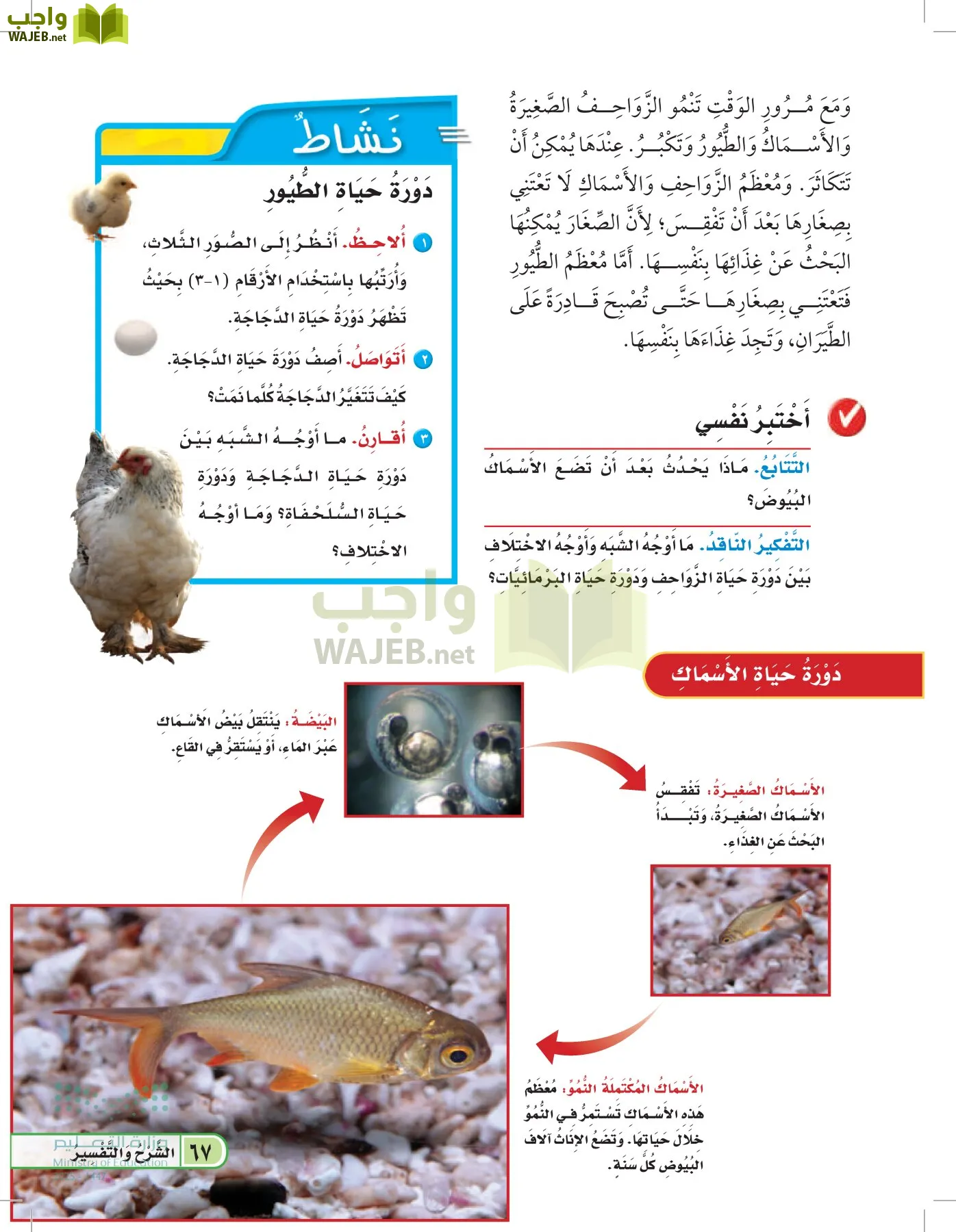 العلوم page-66