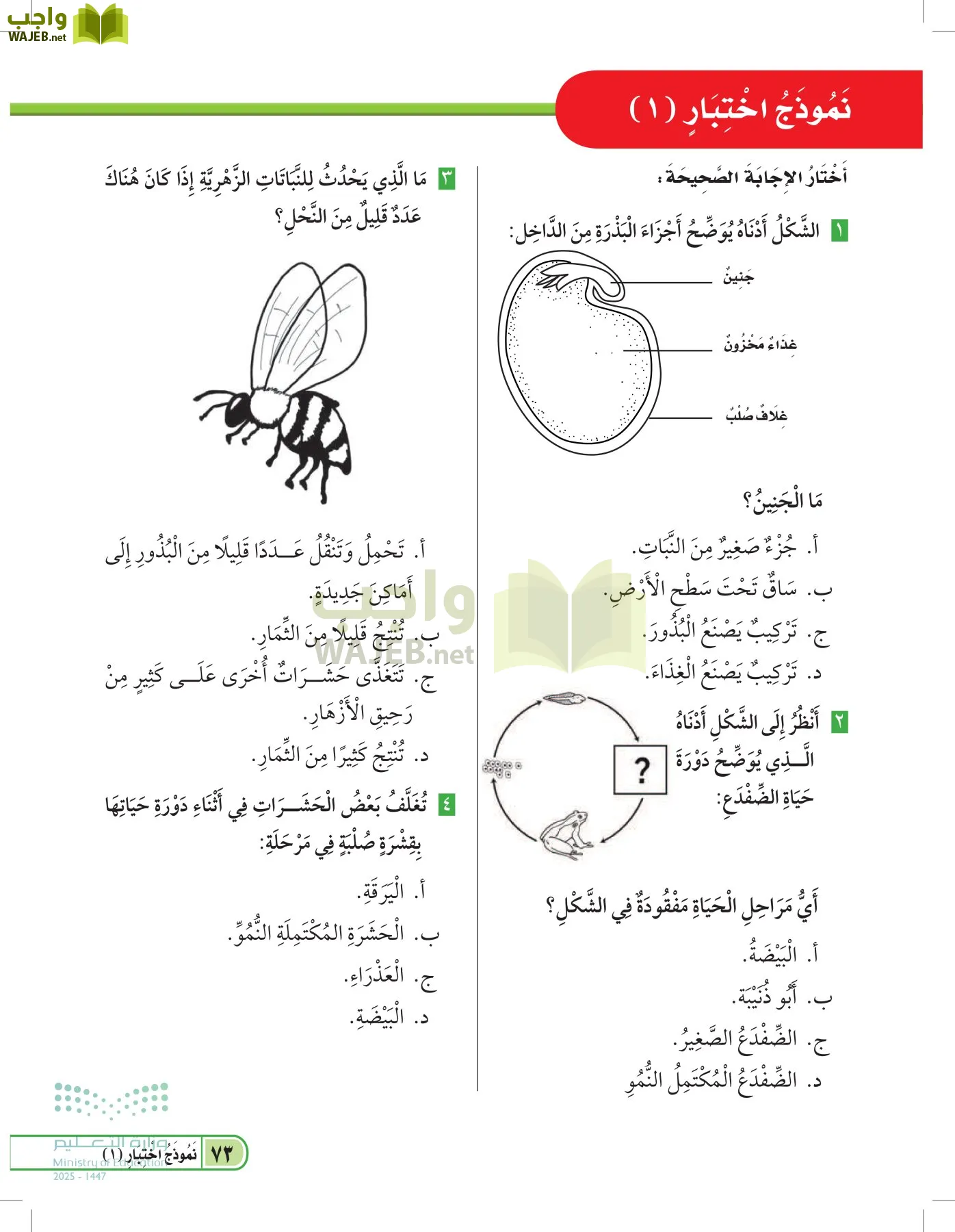 العلوم page-72
