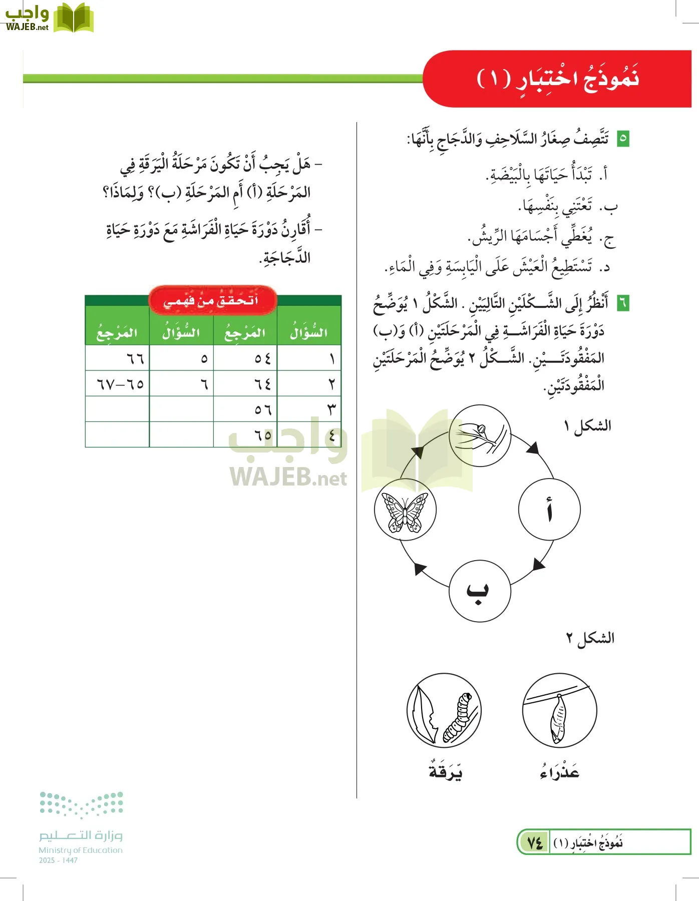 العلوم page-73