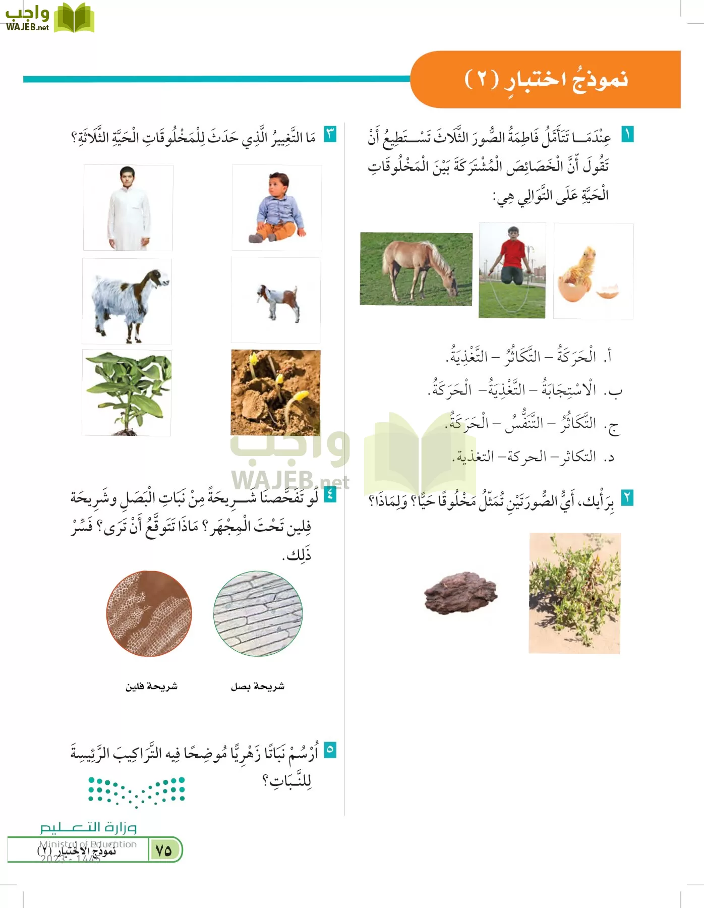 العلوم page-74