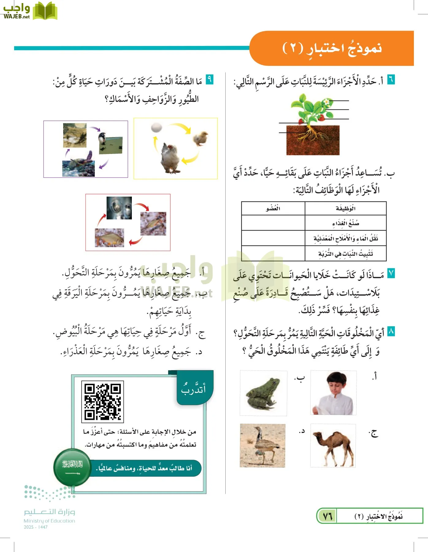 العلوم page-75