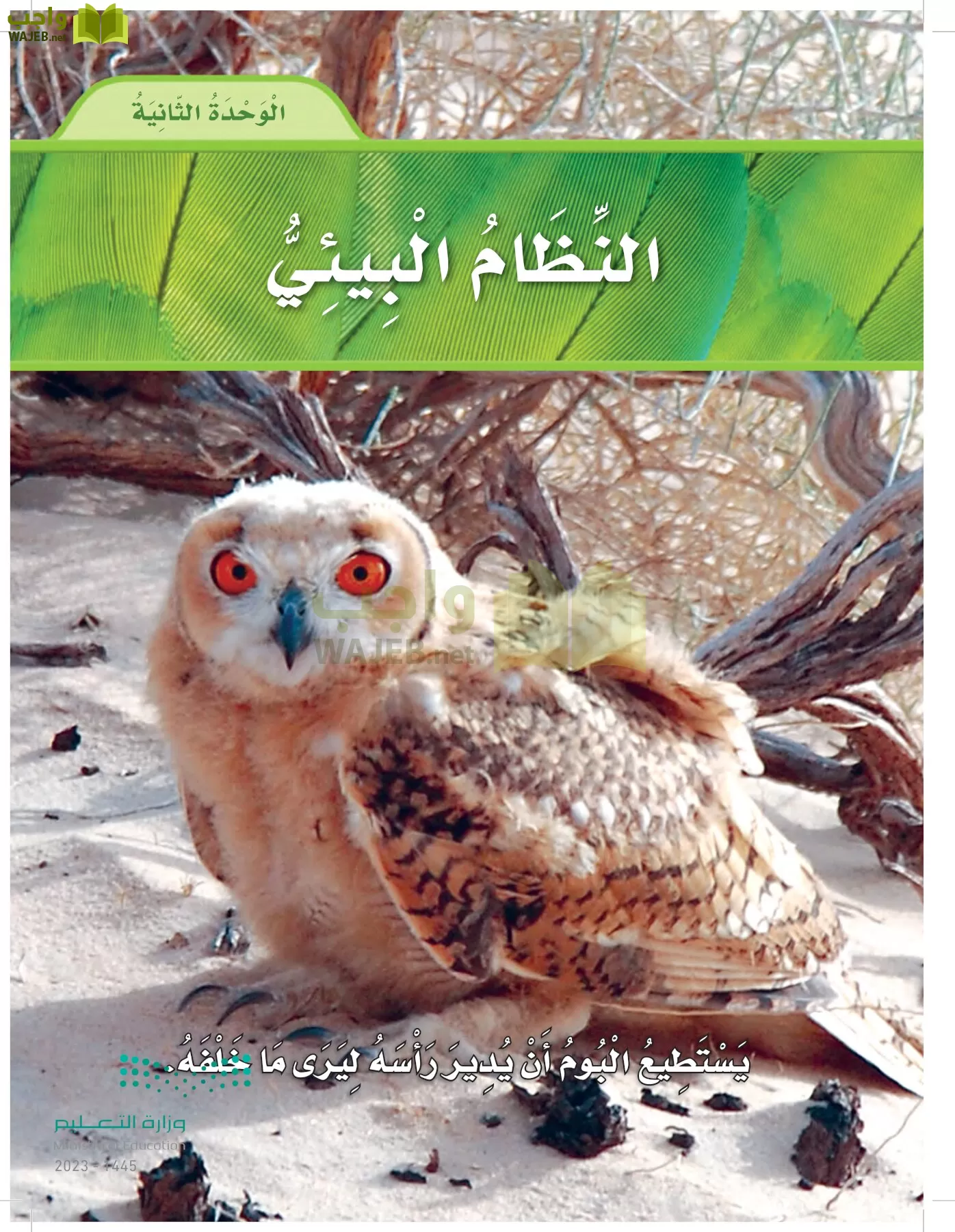 العلوم page-76