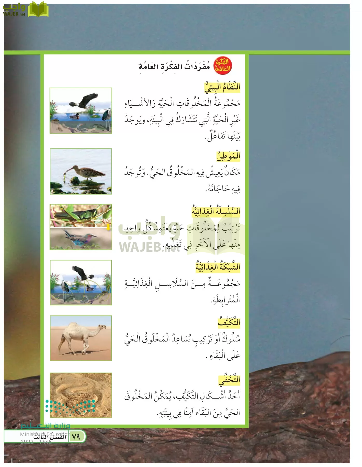 العلوم page-78