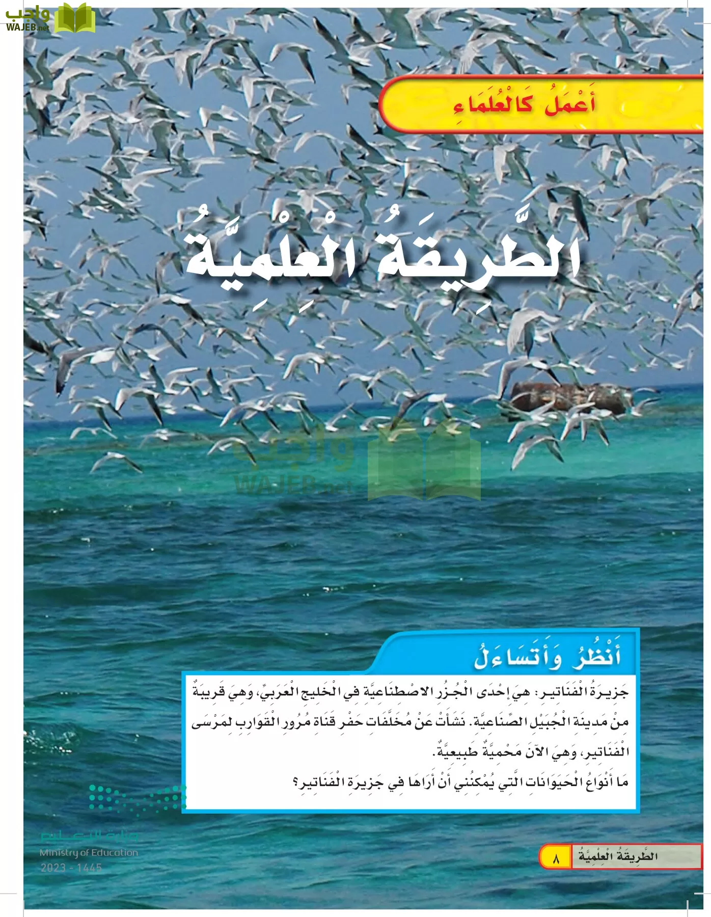 العلوم page-7