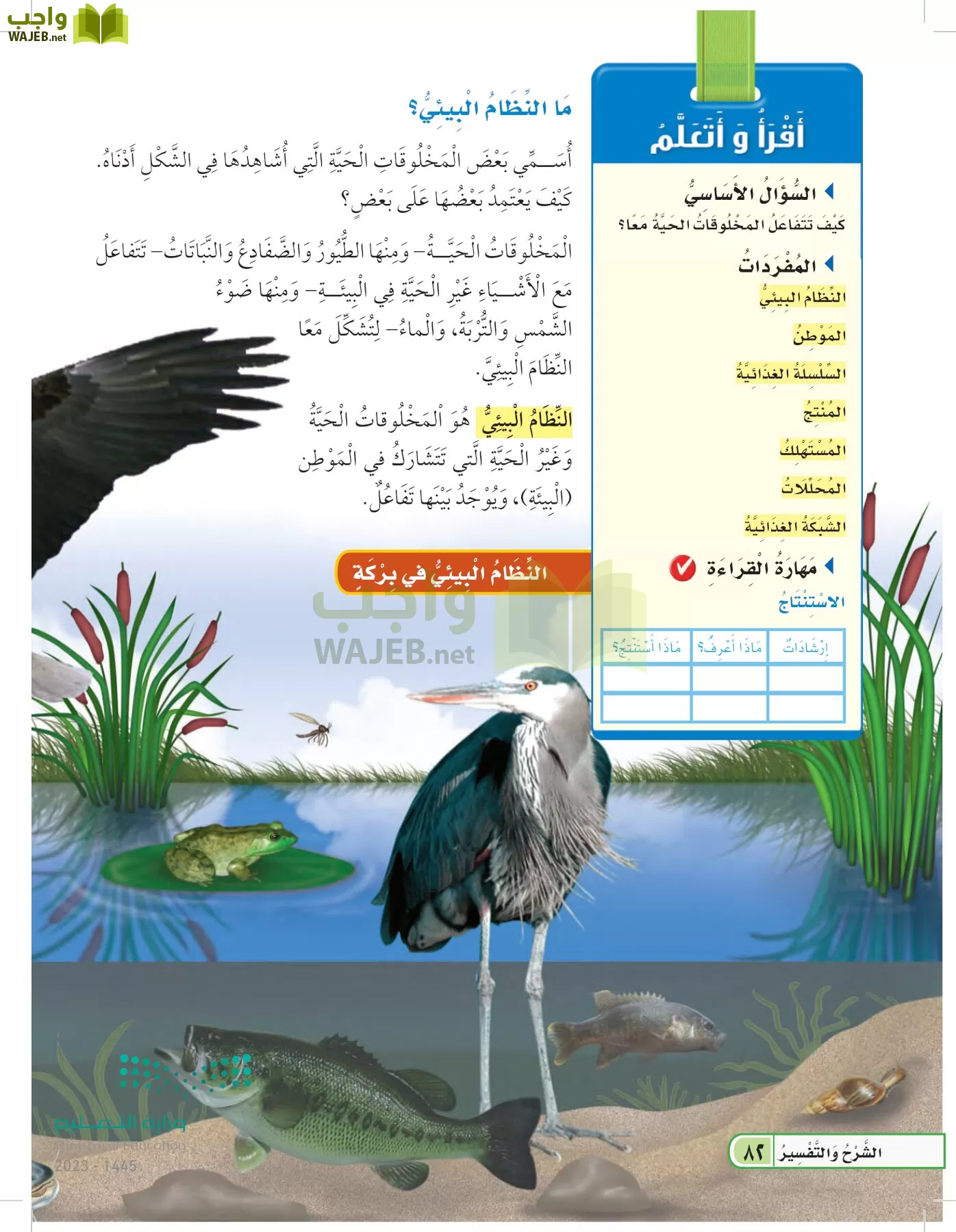 العلوم page-81