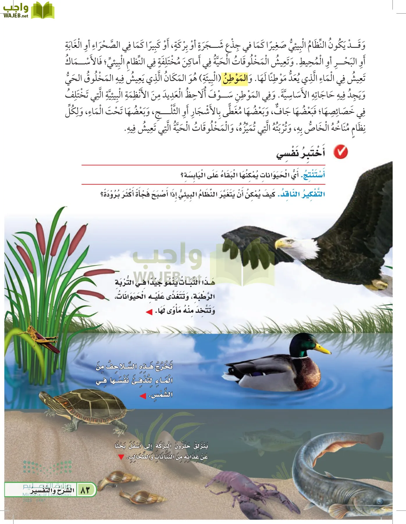 العلوم page-82