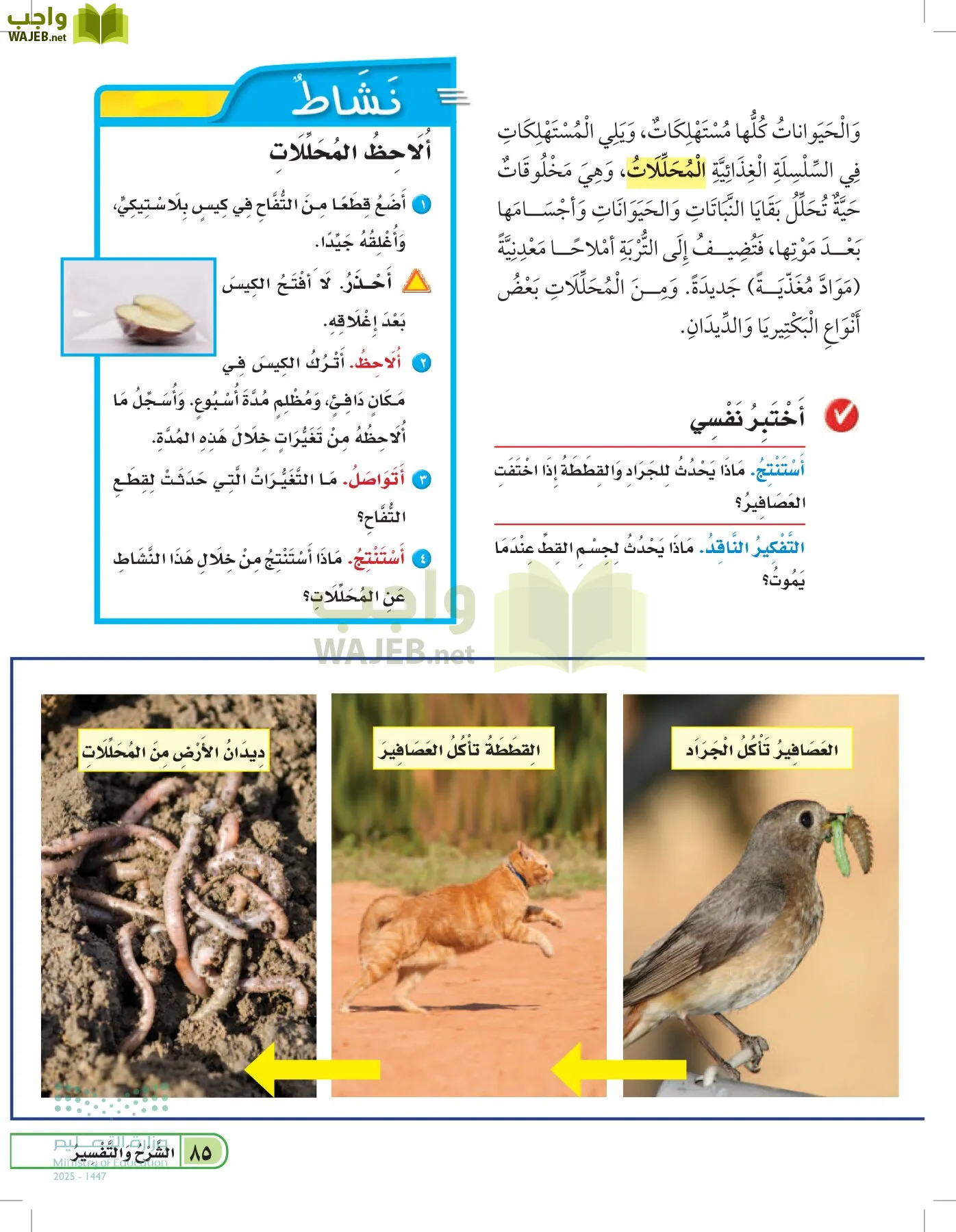 العلوم page-84