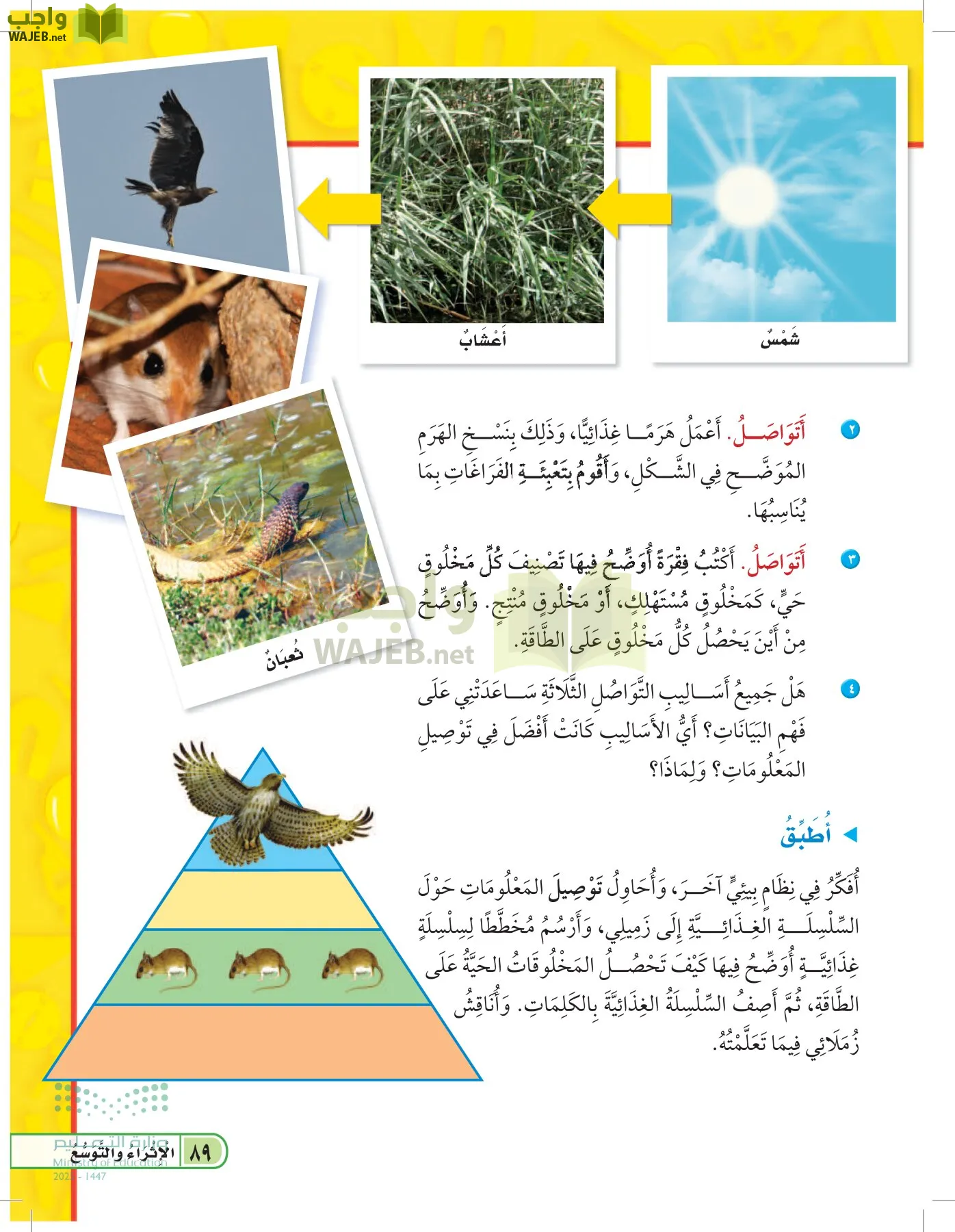 العلوم page-88