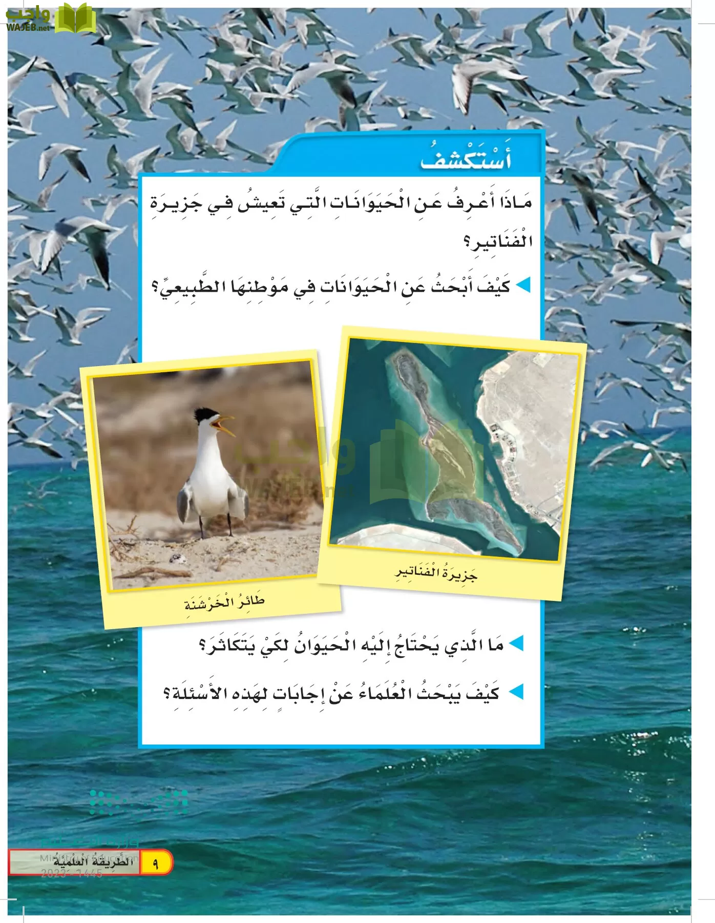 العلوم page-8
