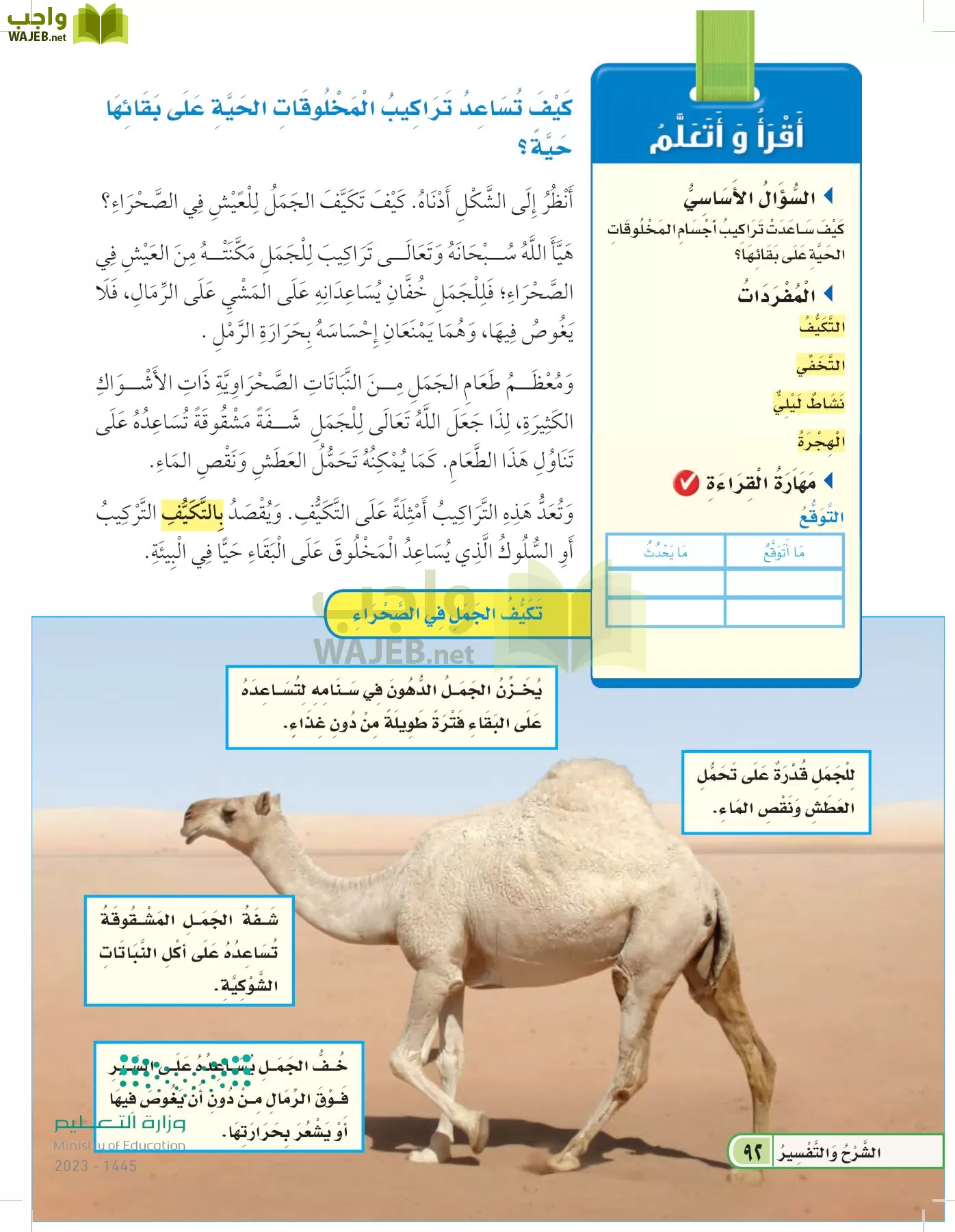العلوم page-91