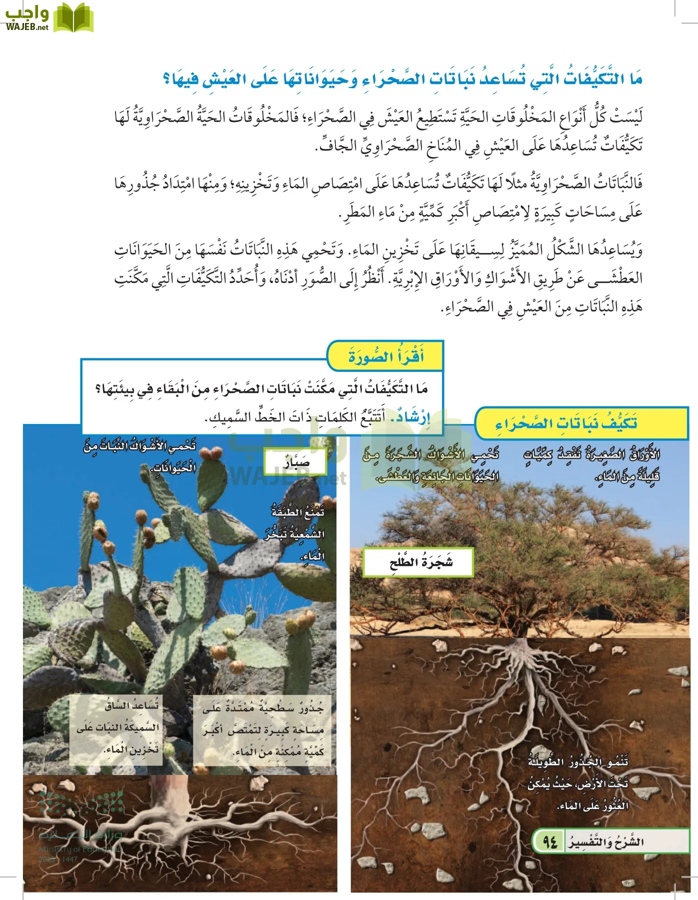 العلوم page-93