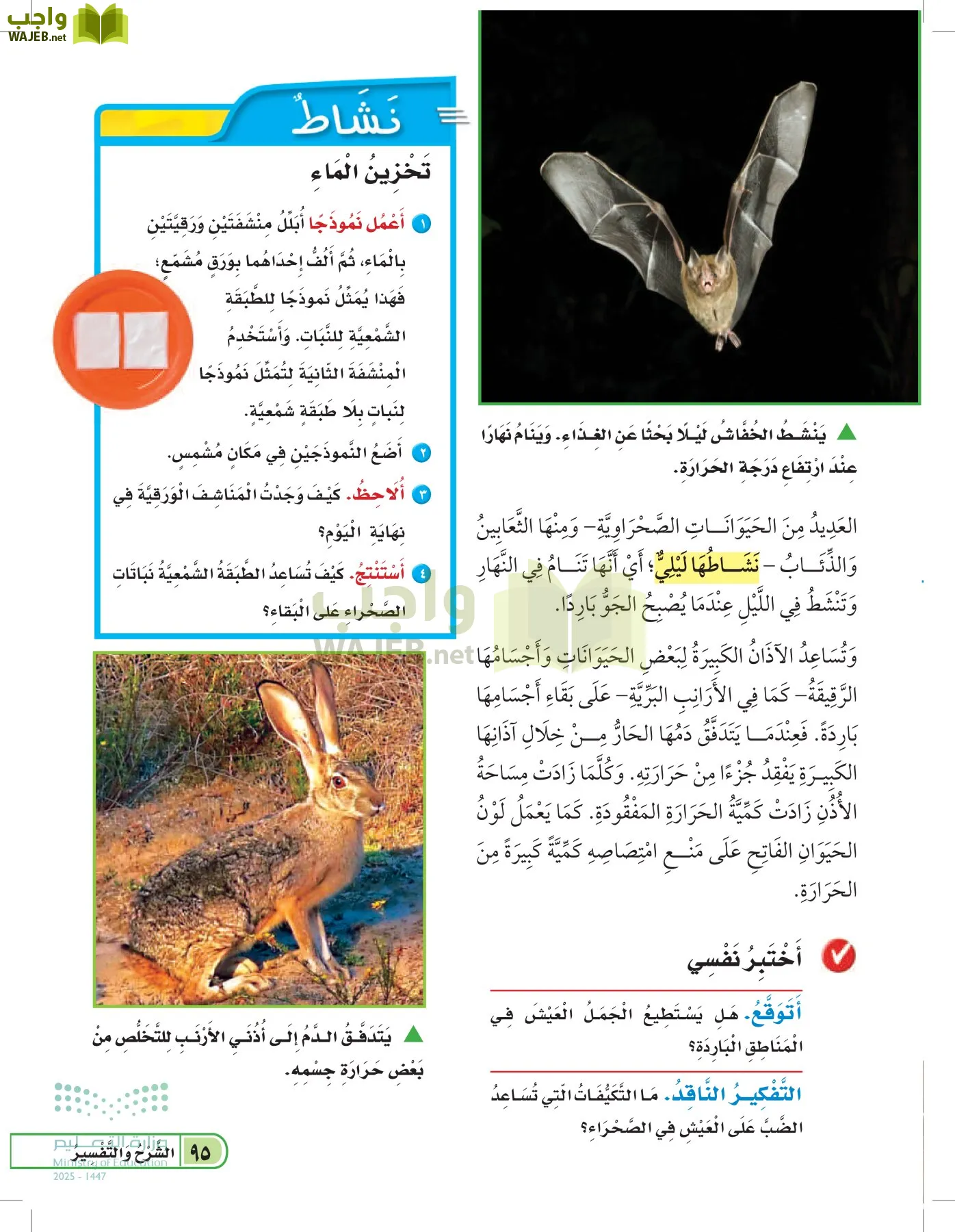 العلوم page-94
