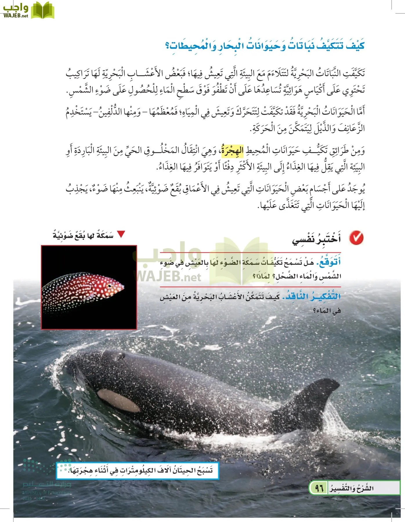 العلوم page-95