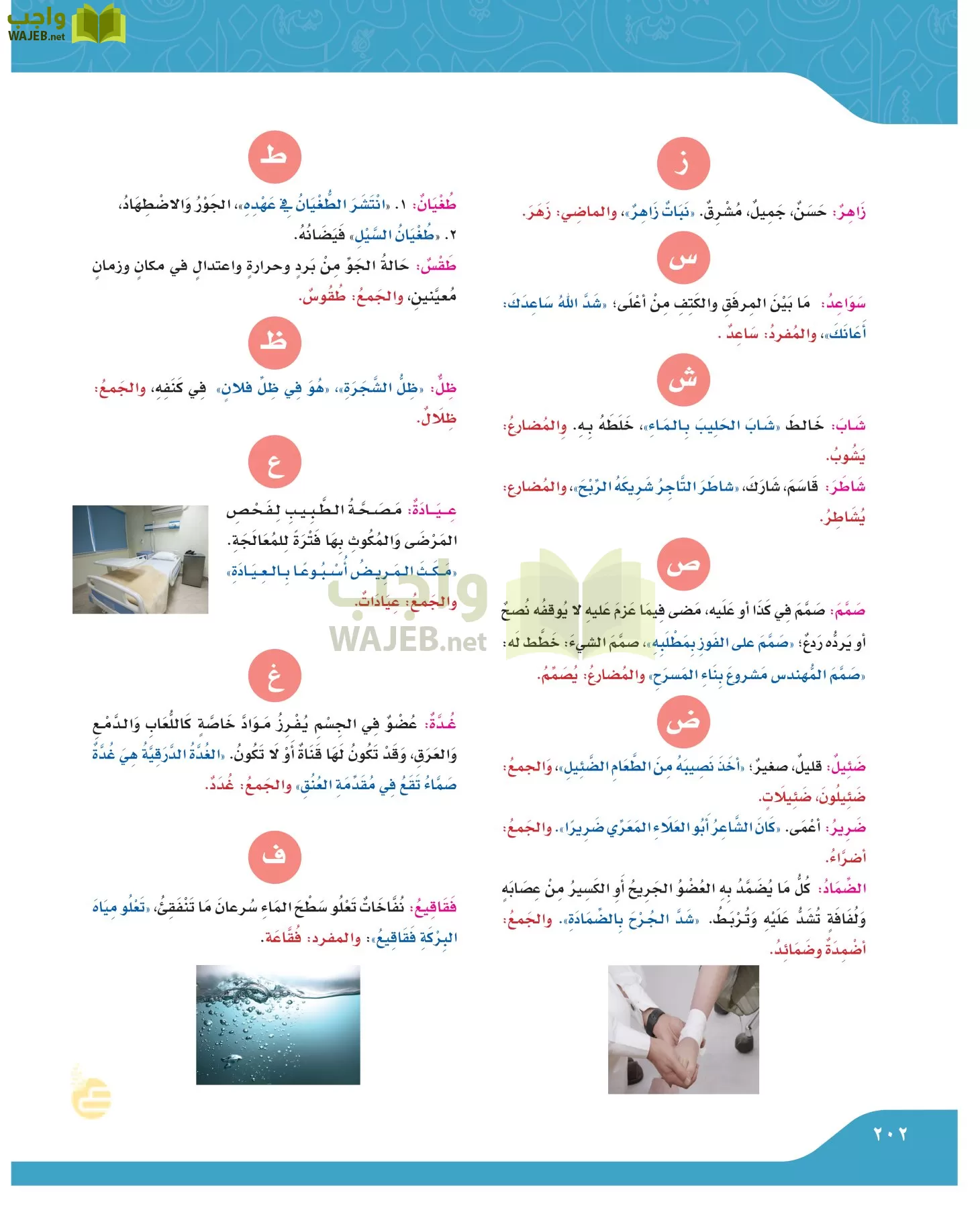 لغتي الجميلة page-201
