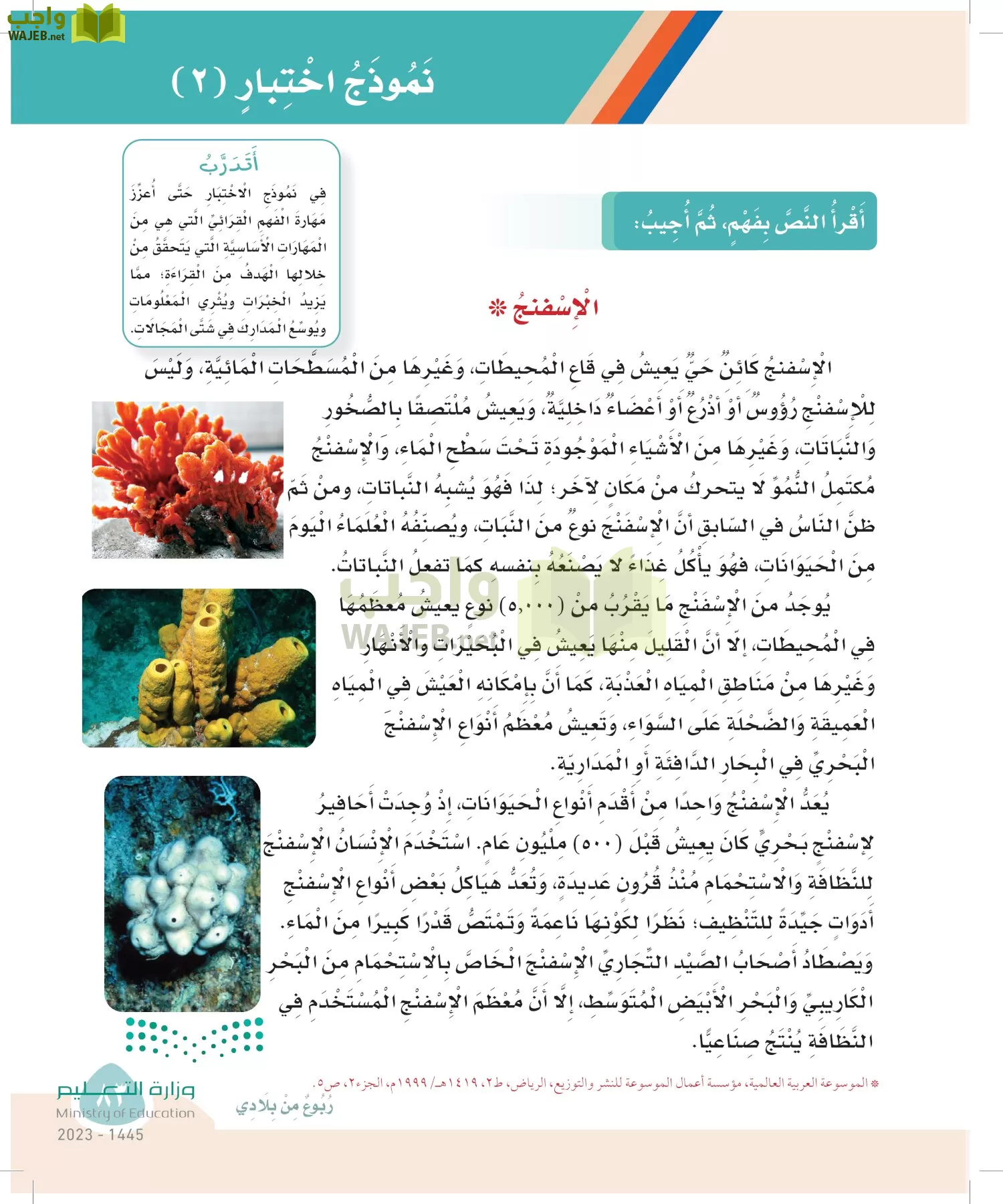 لغتي page-82