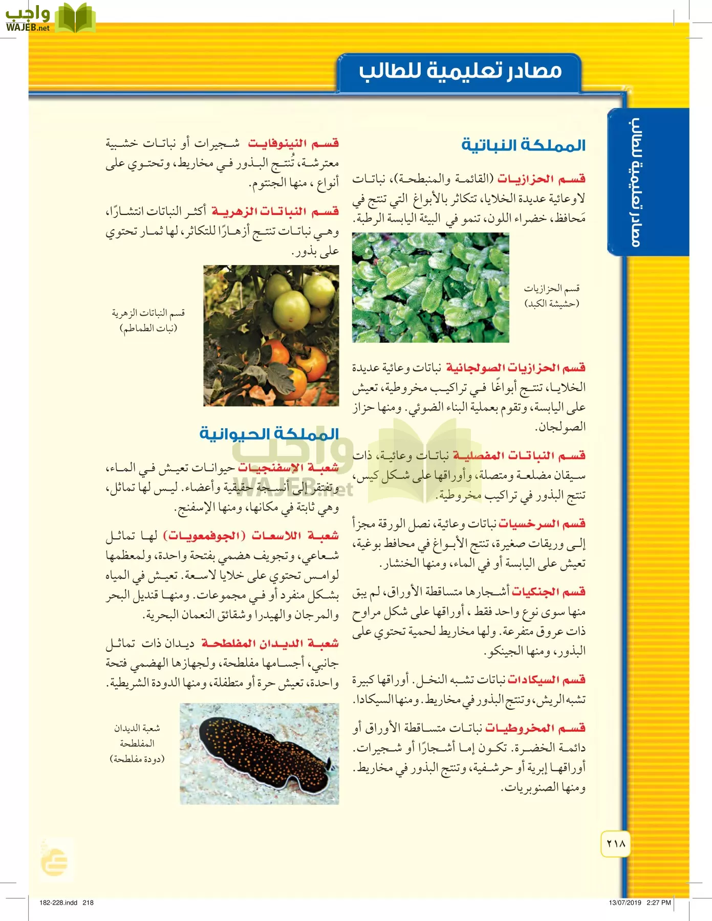 العلوم page-217