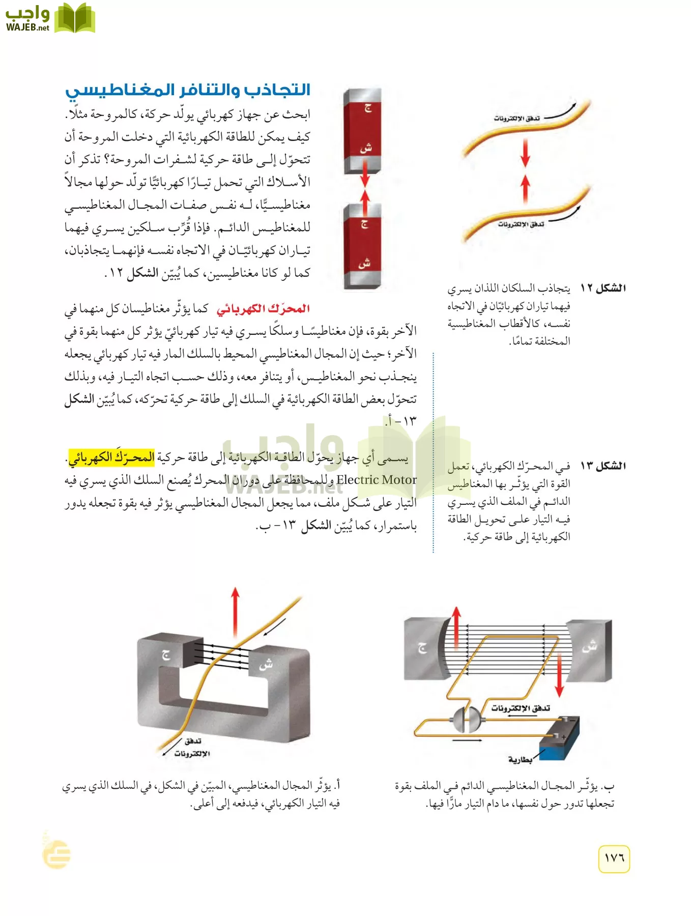 العلوم page-175