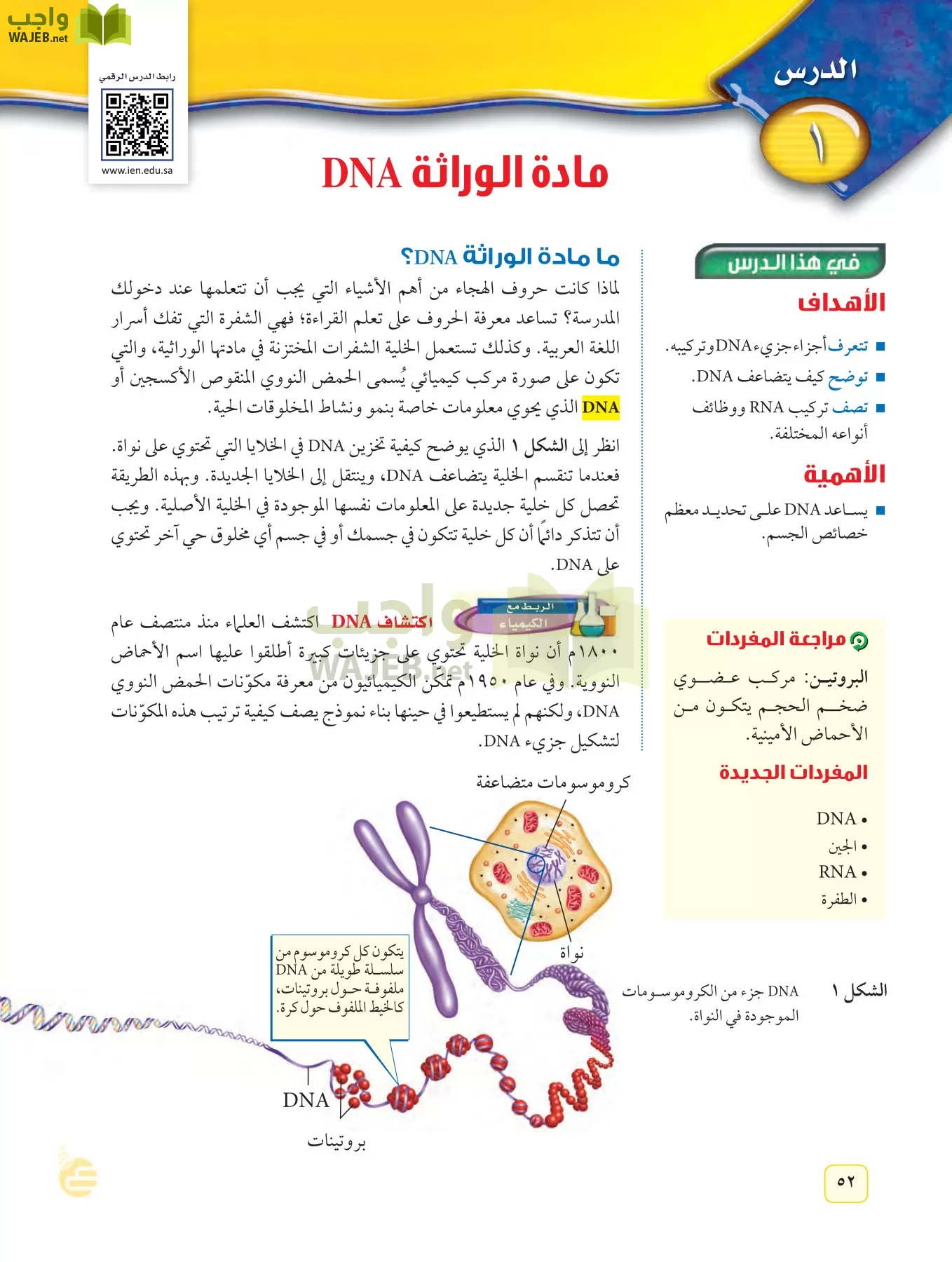 العلوم page-51
