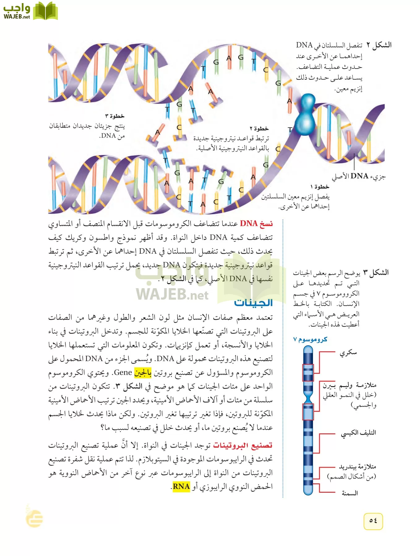 العلوم page-53