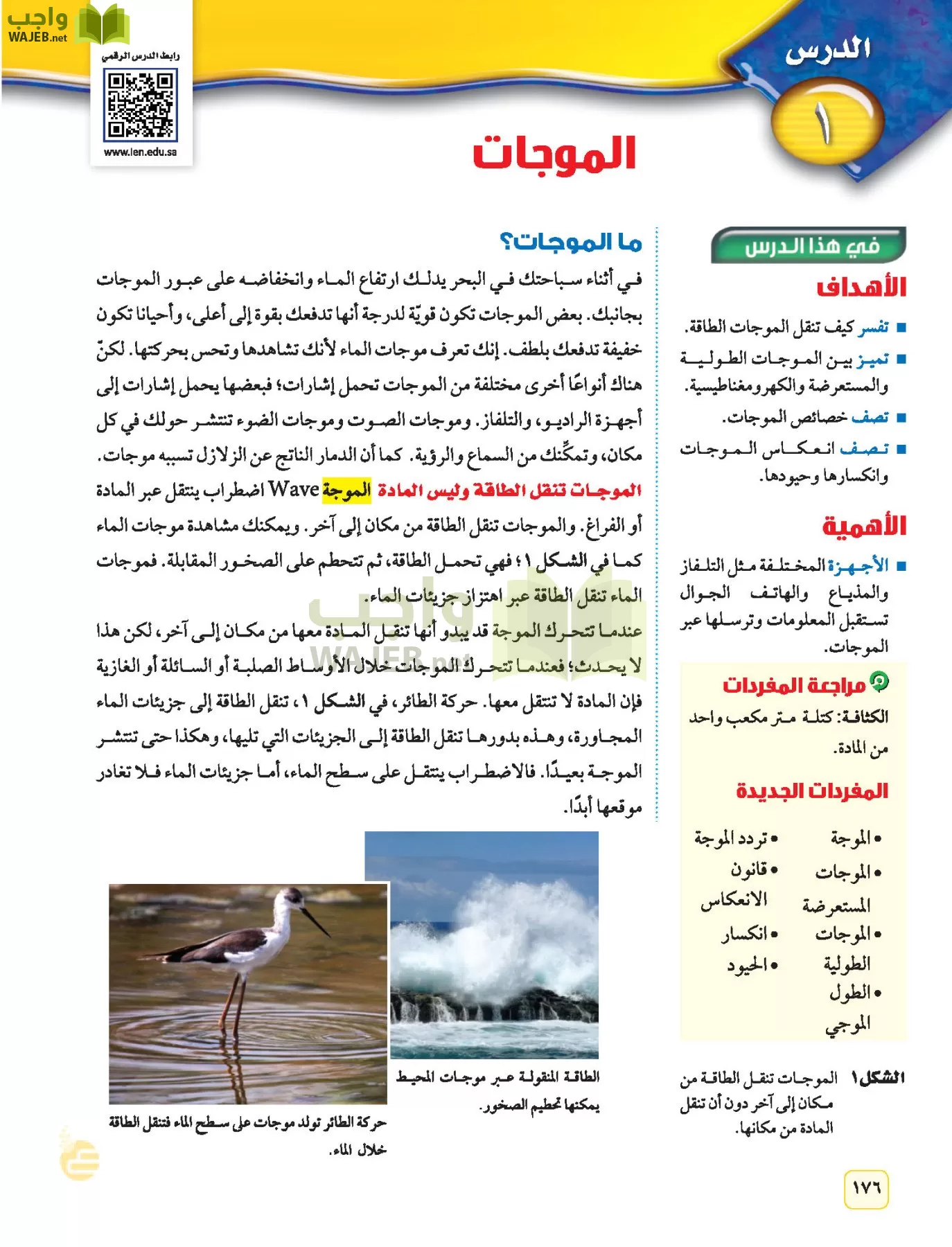 العلوم page-175