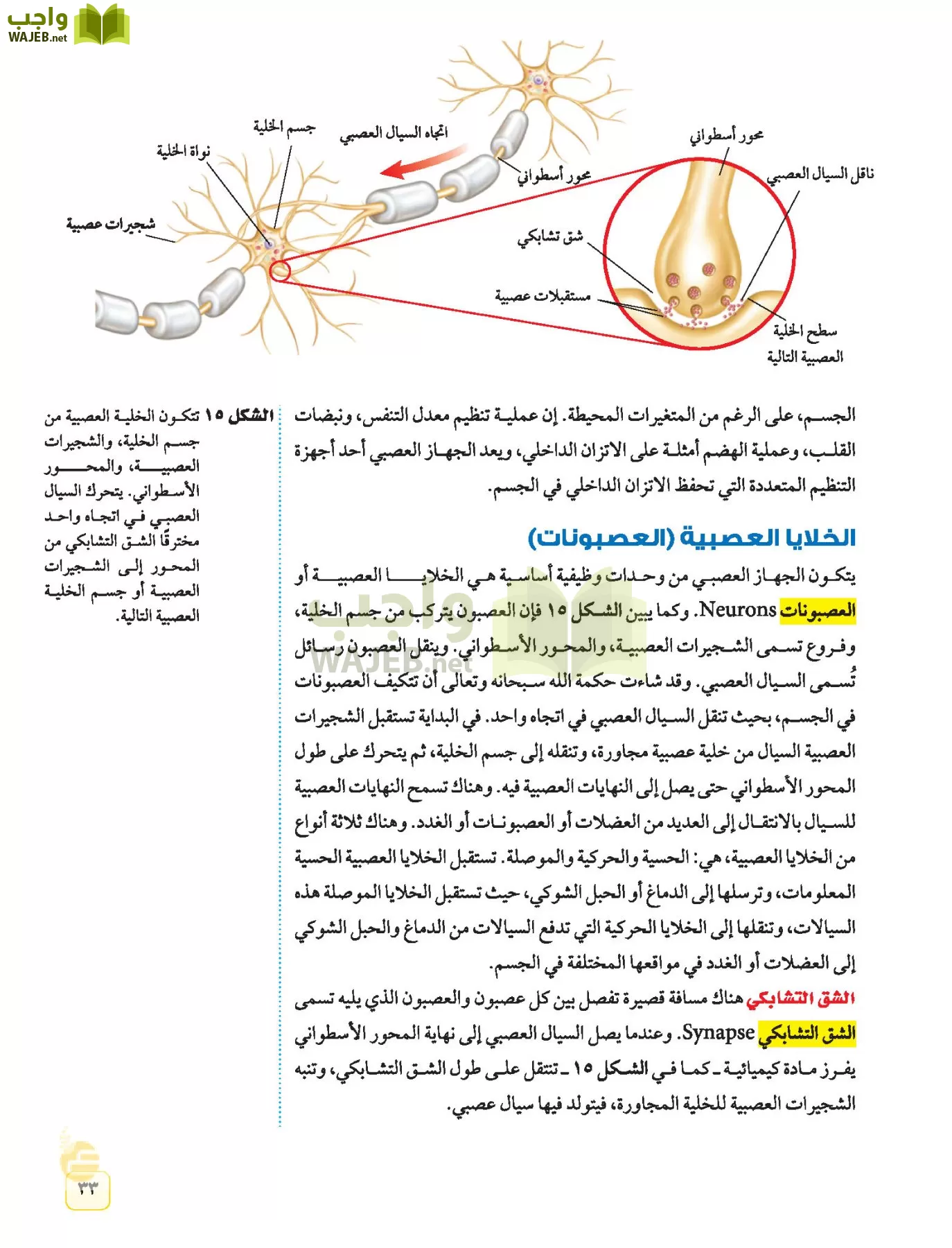 العلوم page-32