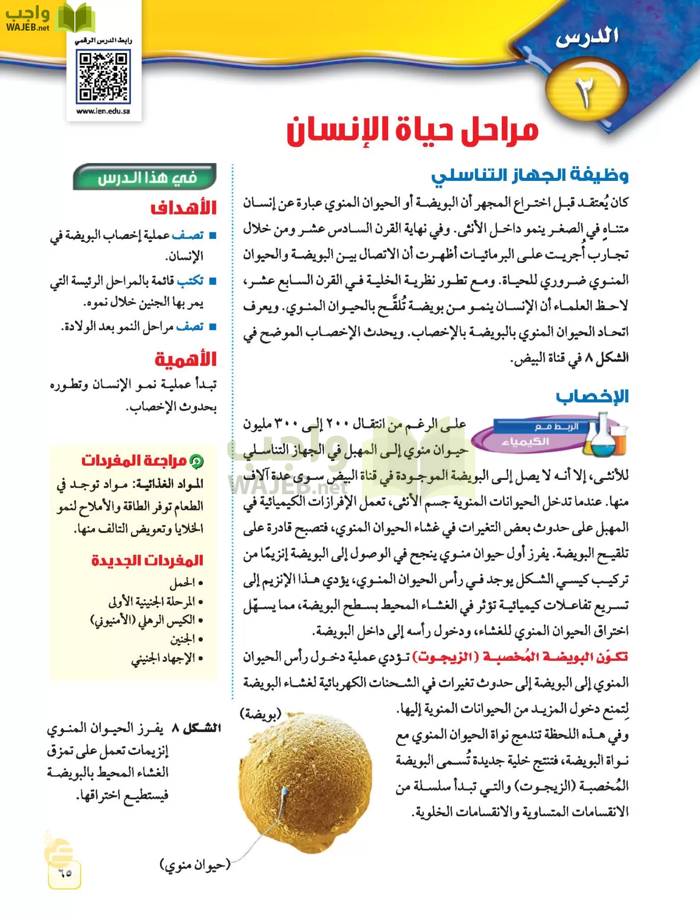 العلوم page-64