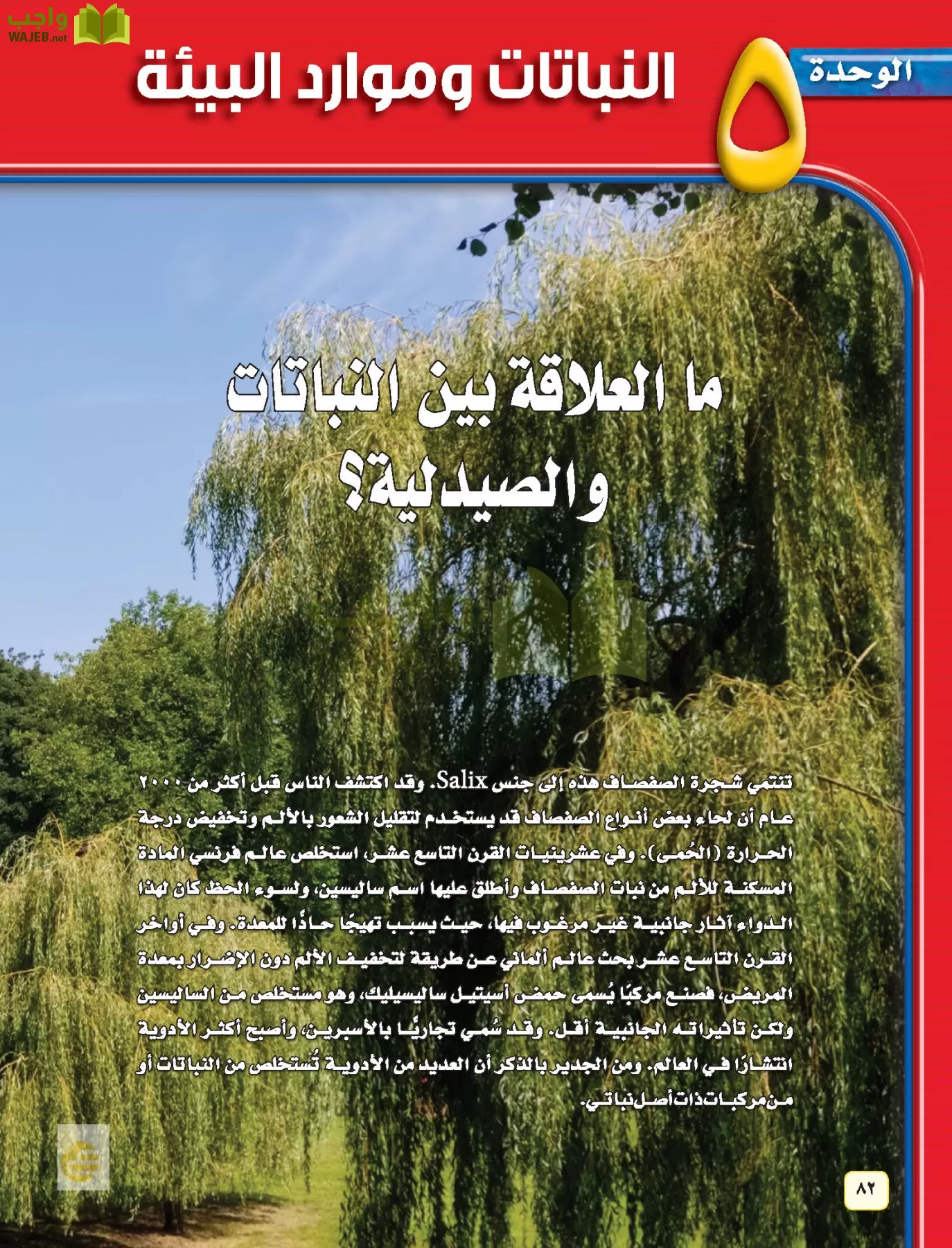 العلوم page-81