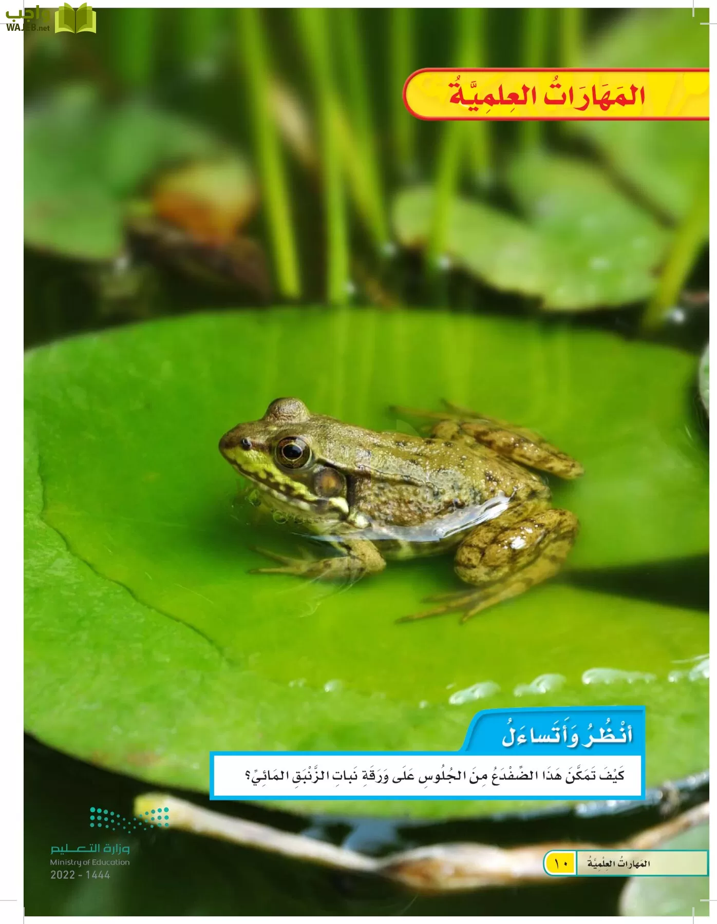 العلوم page-9