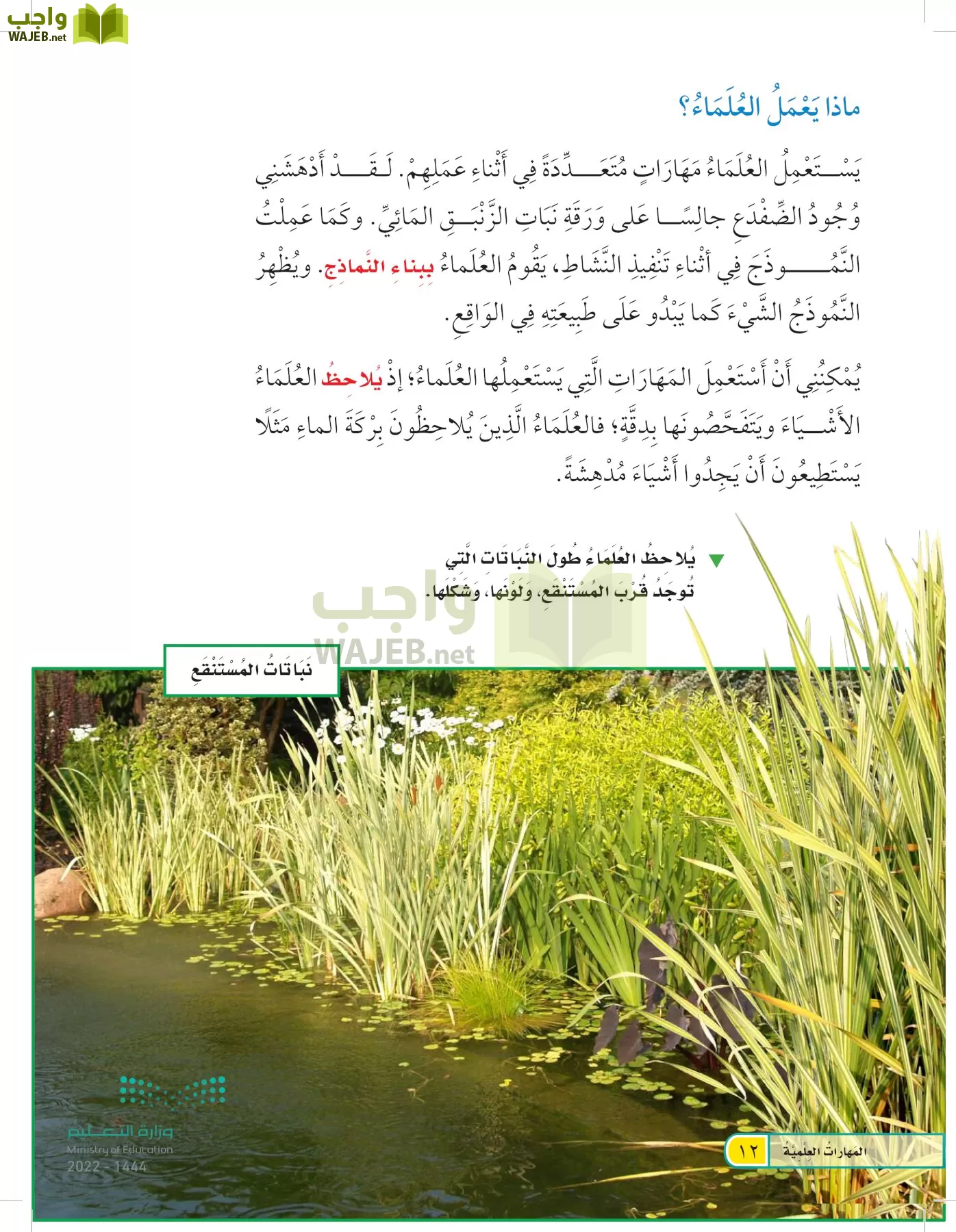 العلوم page-11