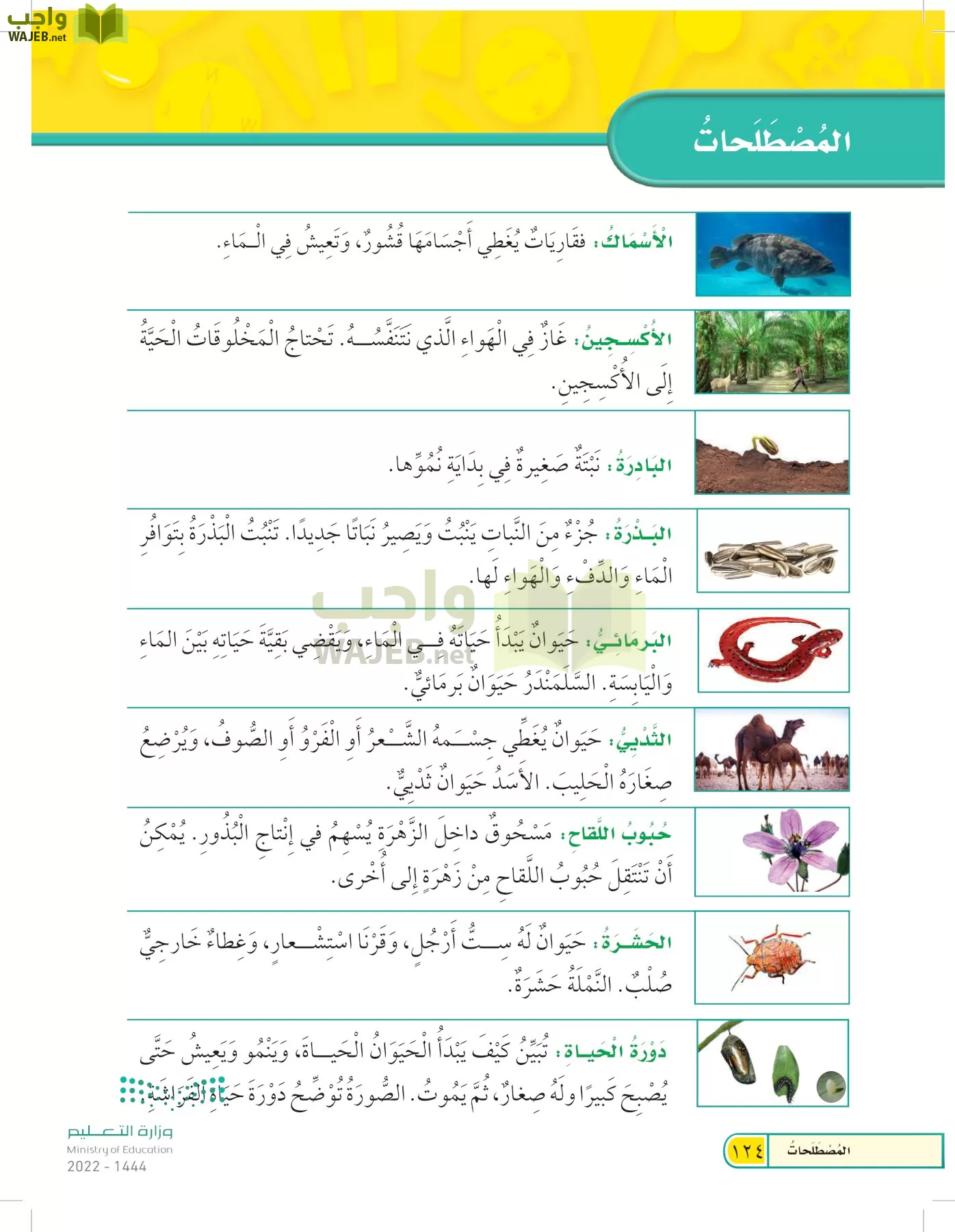 العلوم page-123
