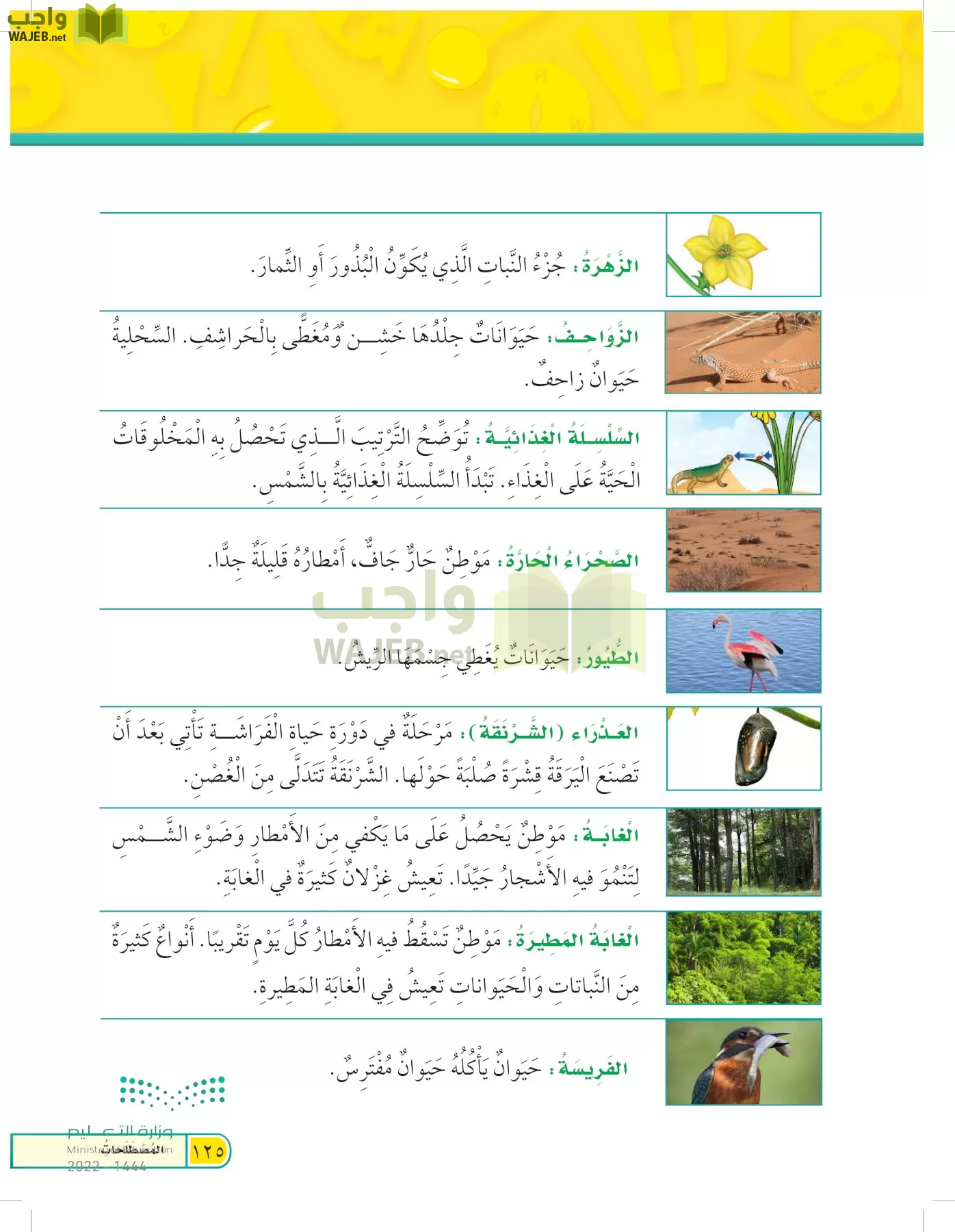 العلوم page-124