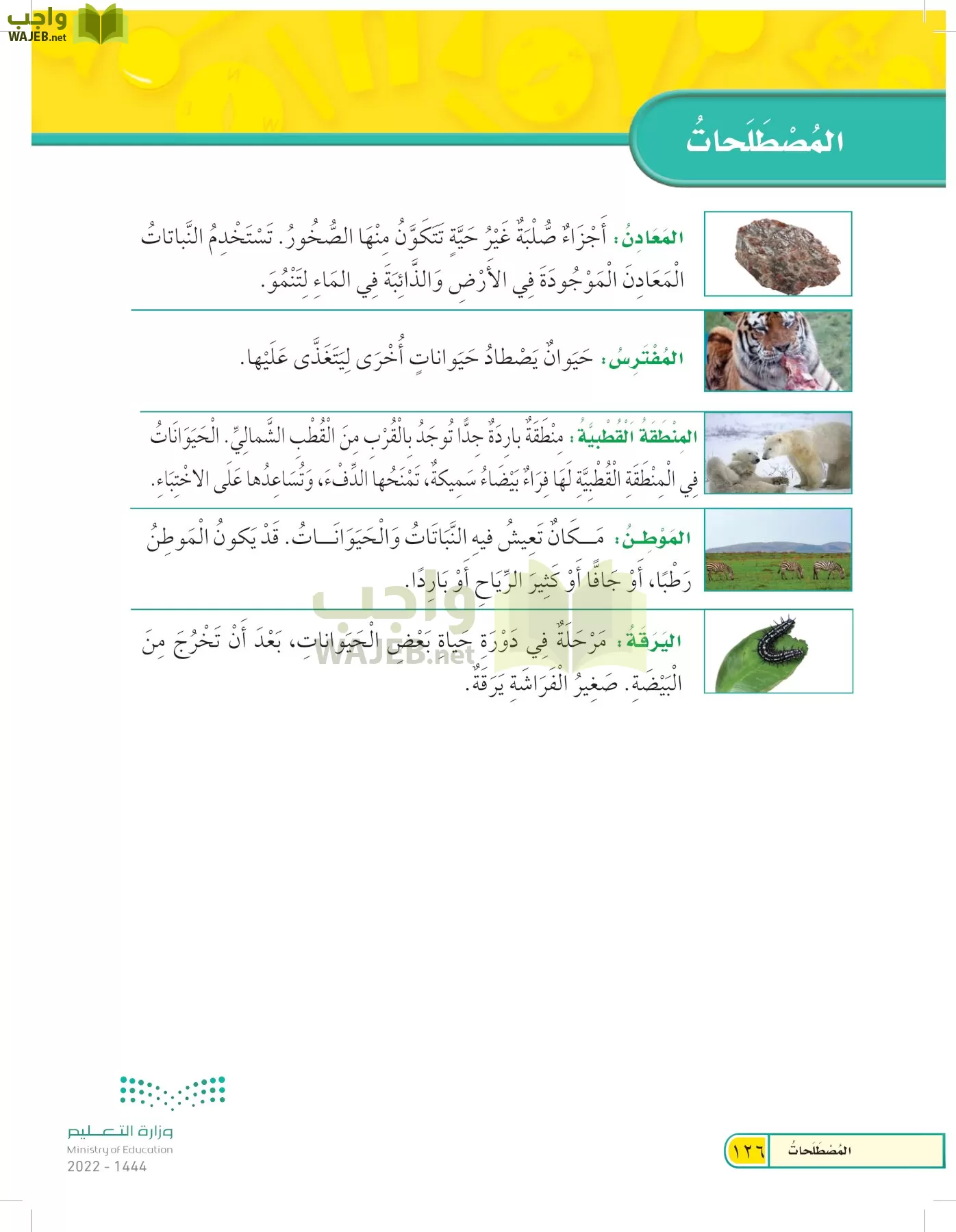 العلوم page-125