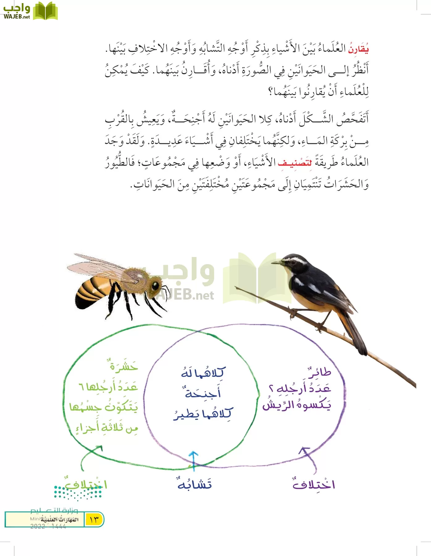 العلوم page-12