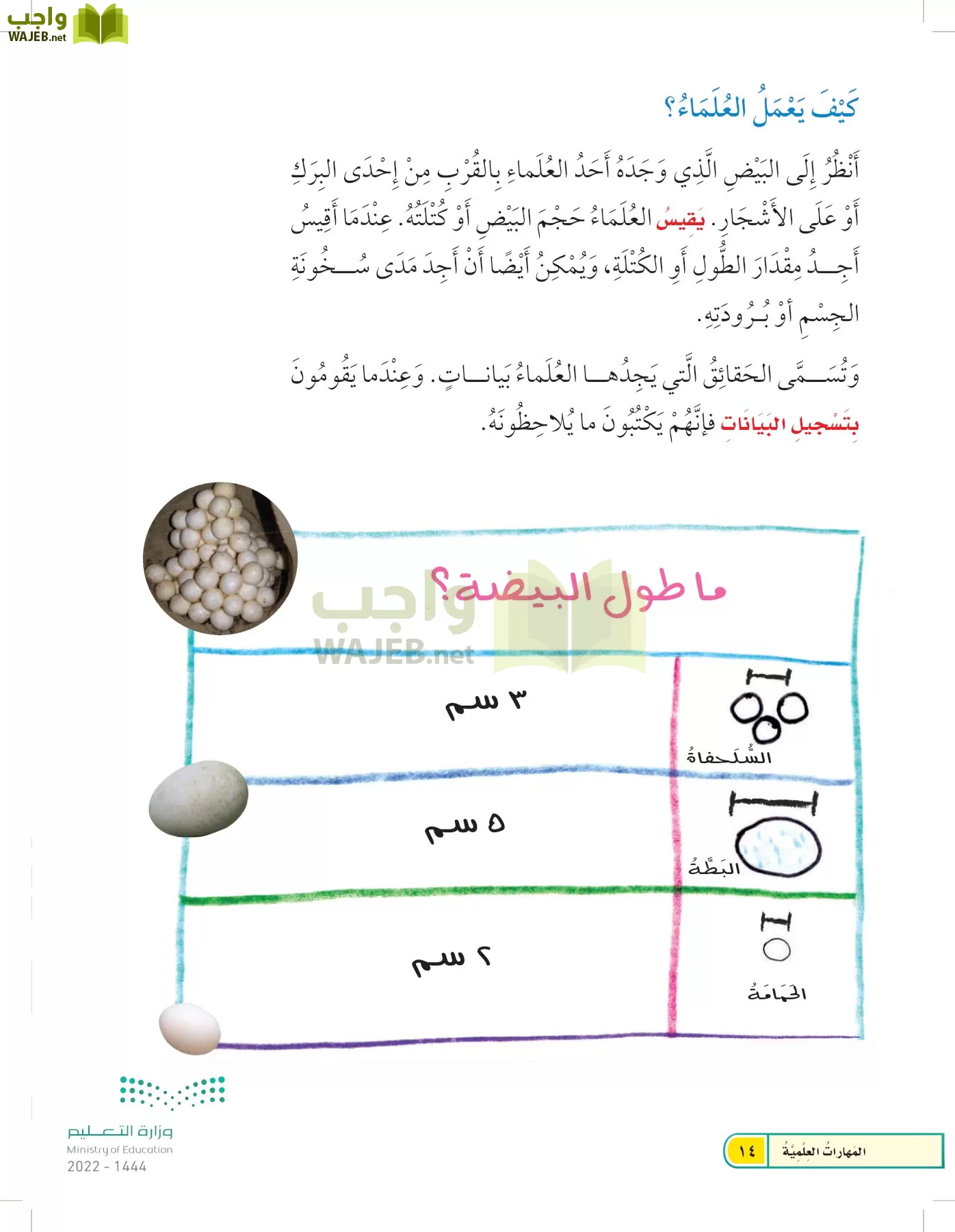 العلوم page-13