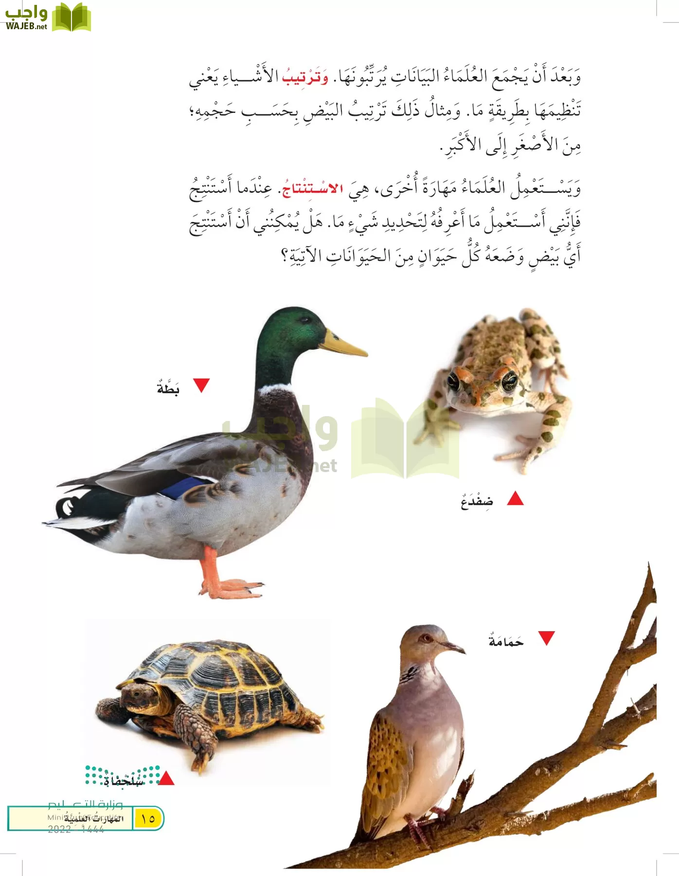 العلوم page-14